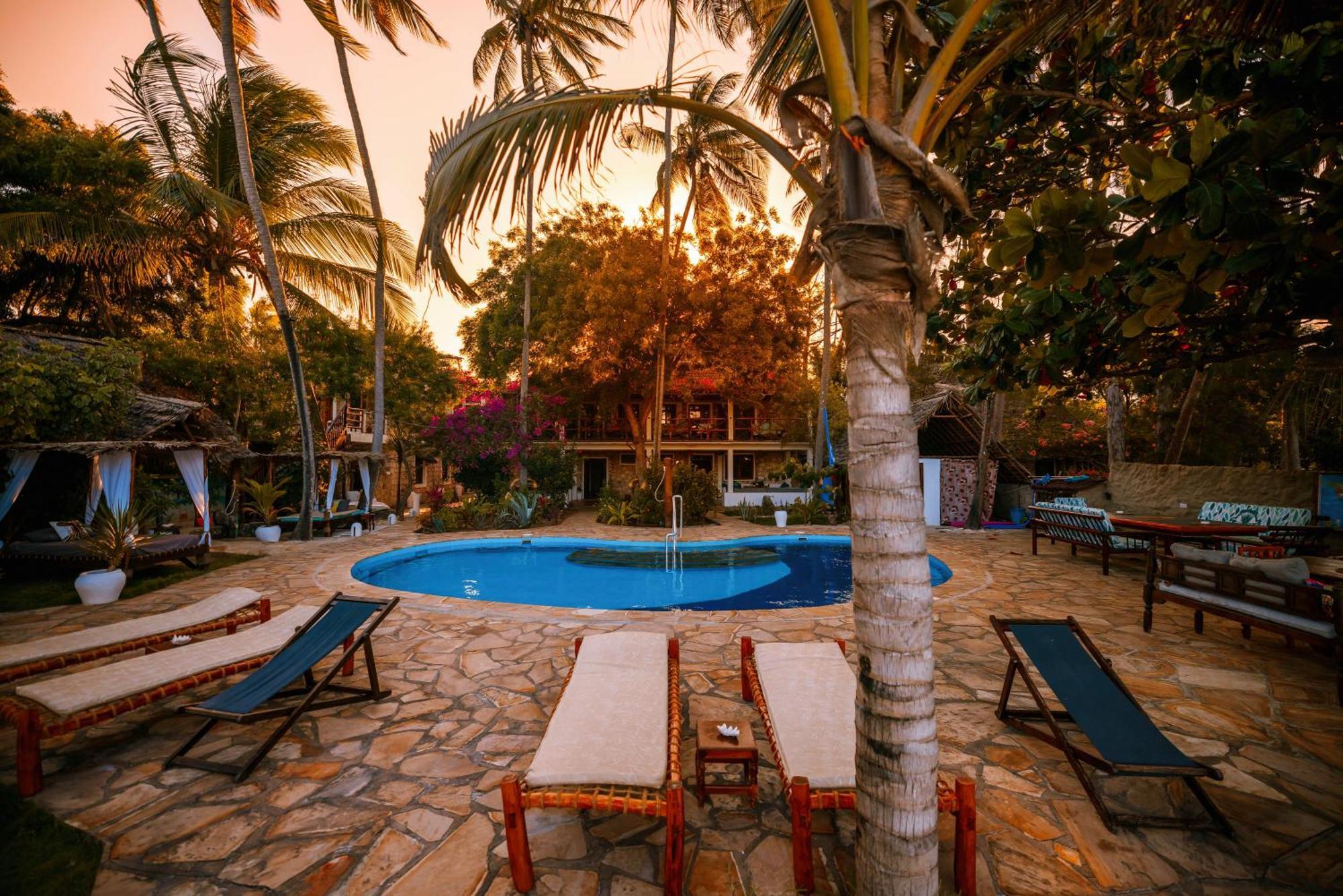 Stone * Kiwengwa (Zanzibar)