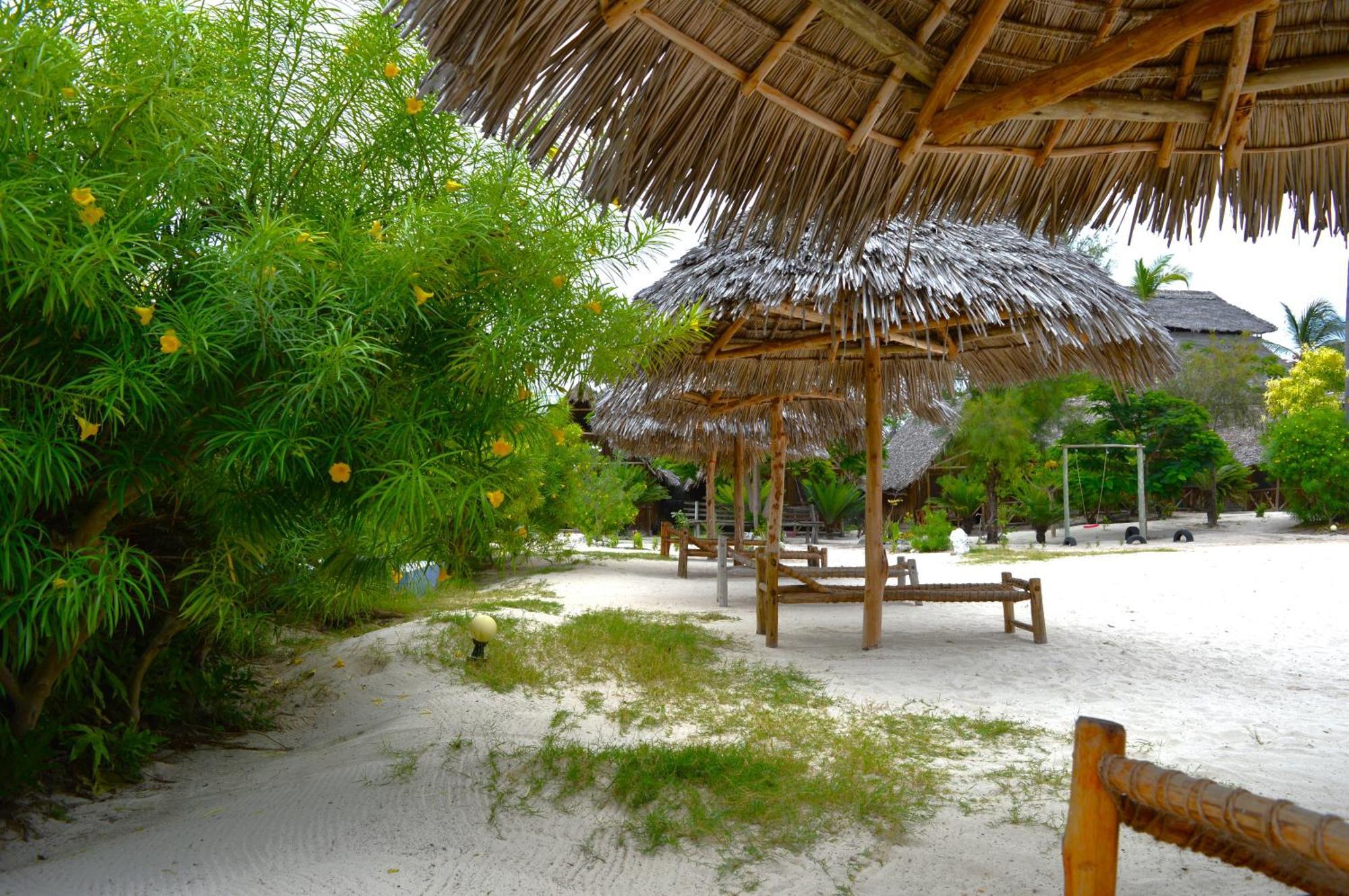 New Jambo Hostel Paje