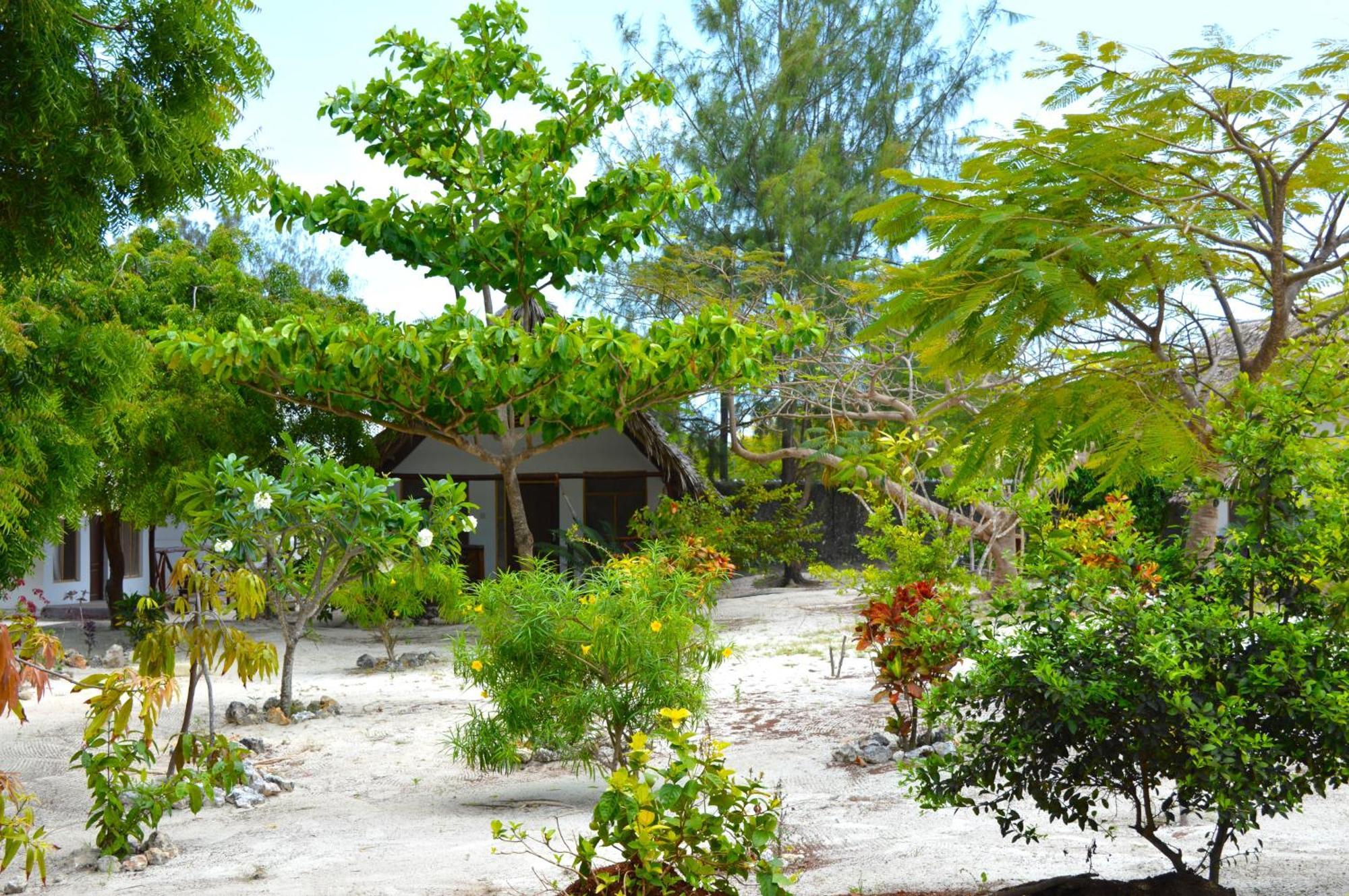 New Jambo Hostel