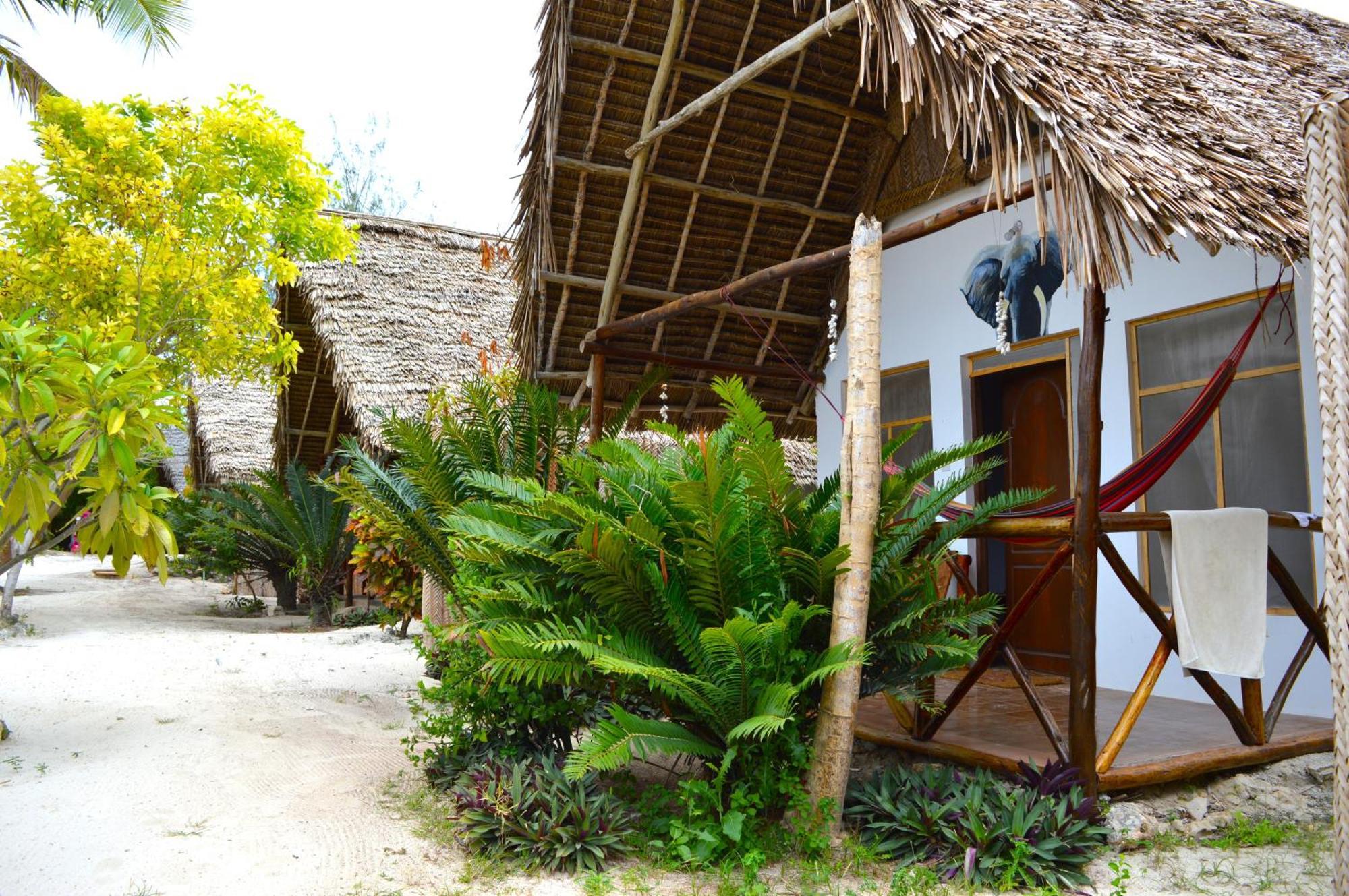 New Jambo Hostel