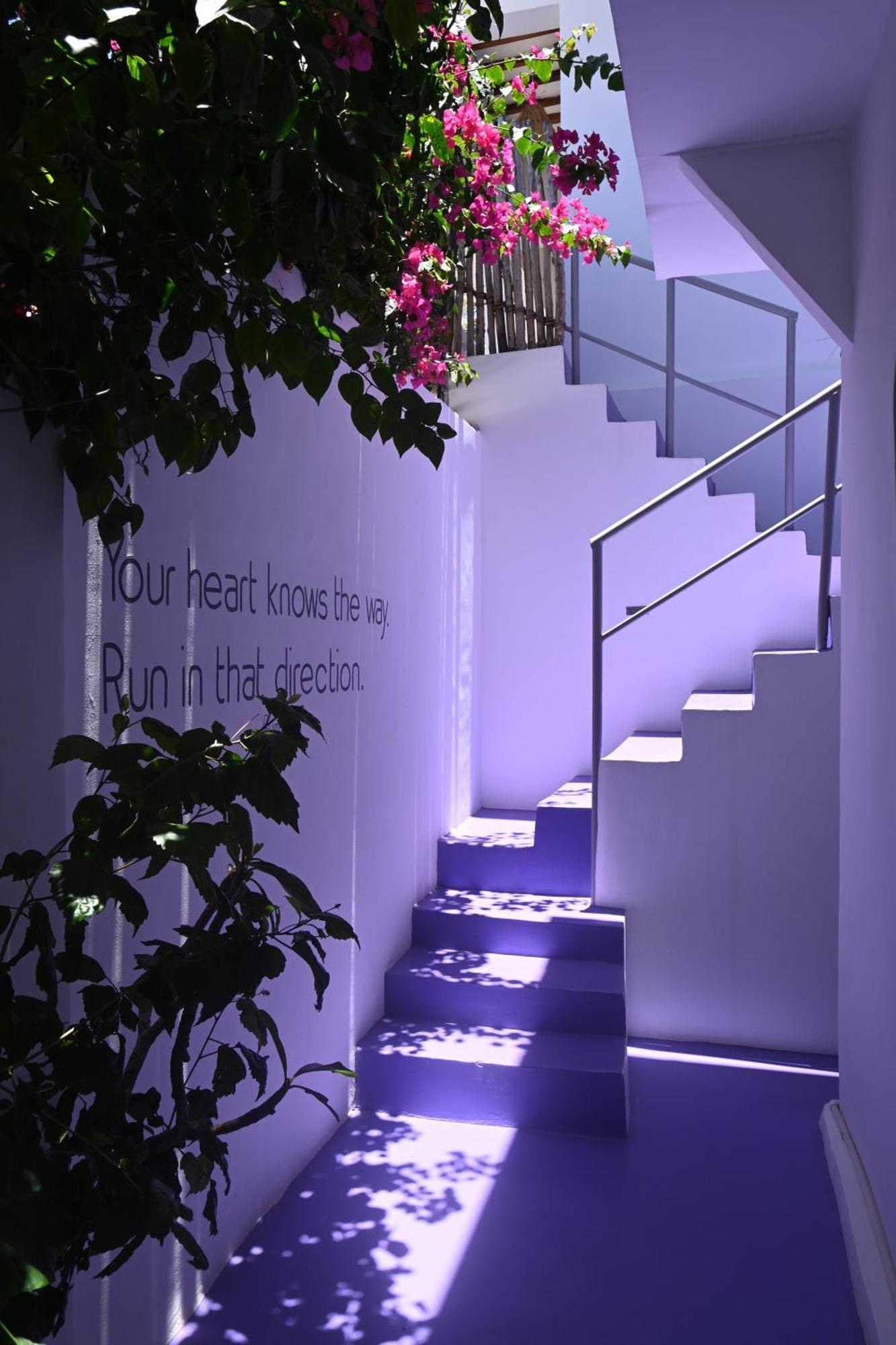 Minted Boutique Hotel *