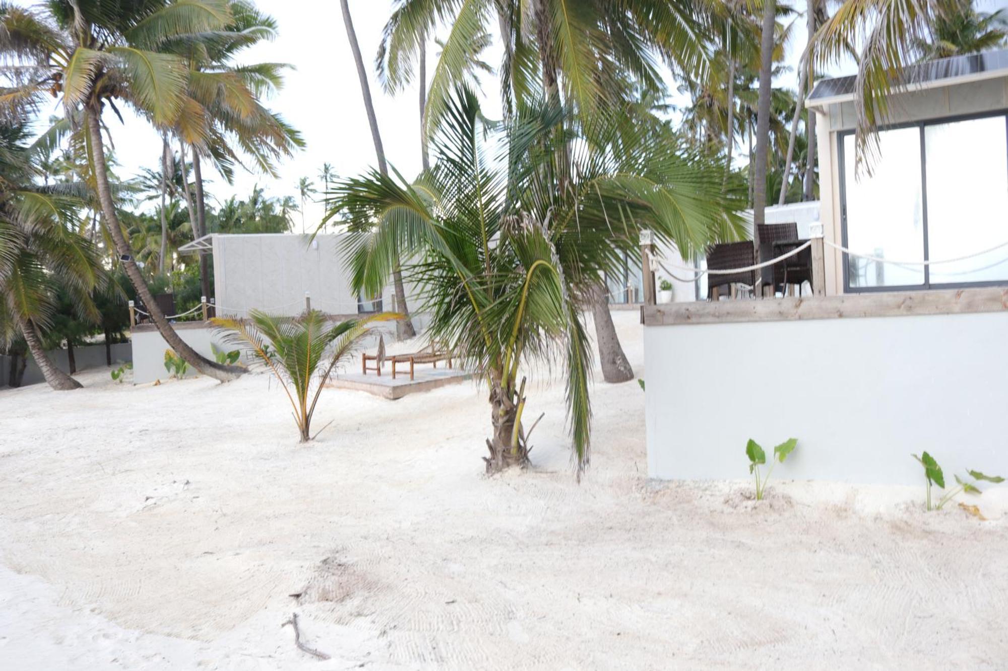 The Zanzibar House-north Bwejuu