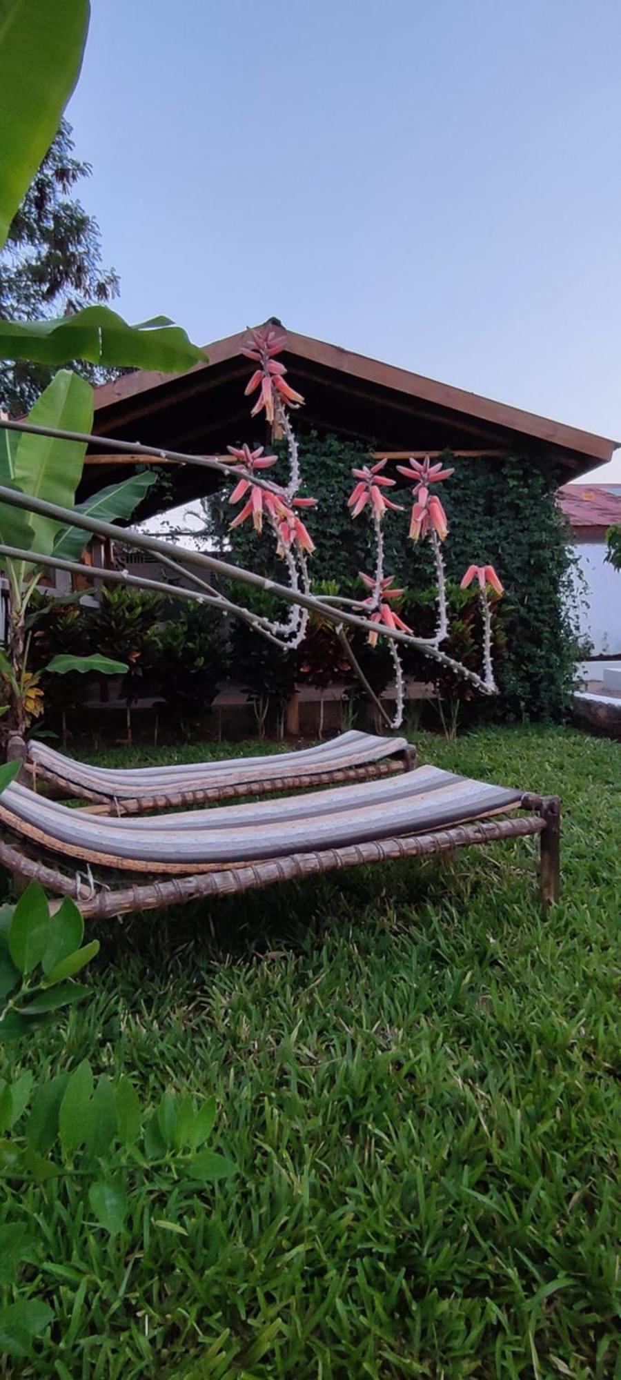Garden Pearls Nungwi