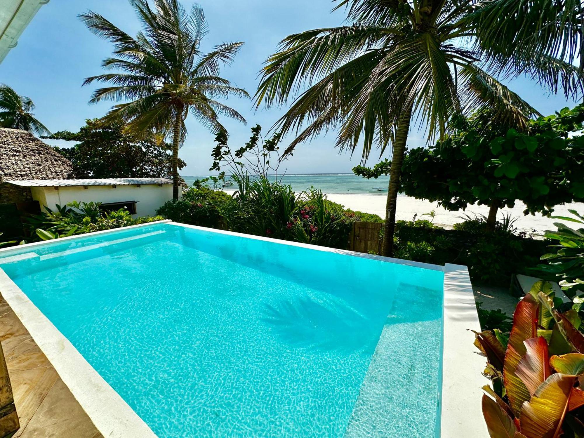 Funga * Matemwe (Zanzibar)