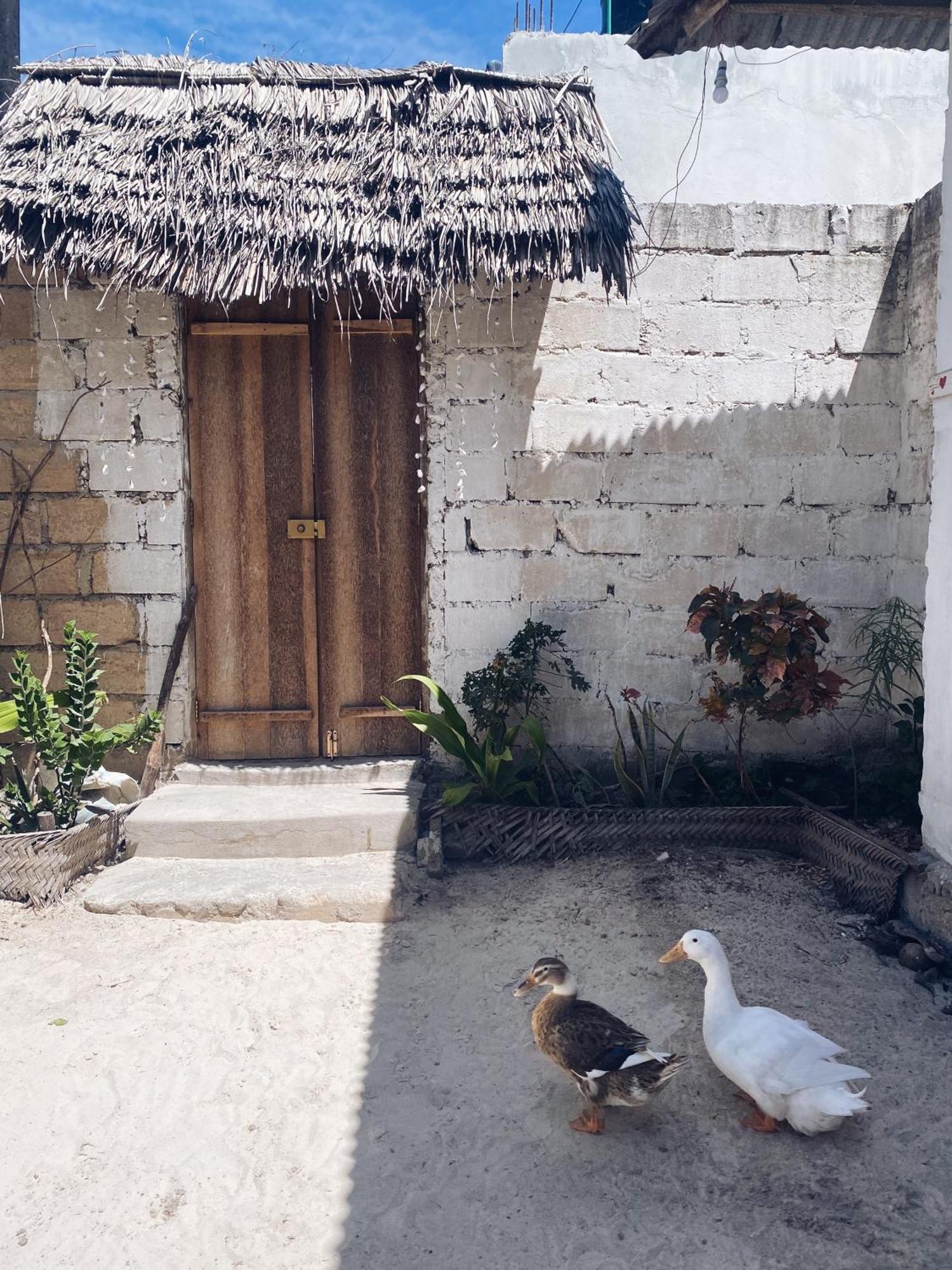 Malaika House
