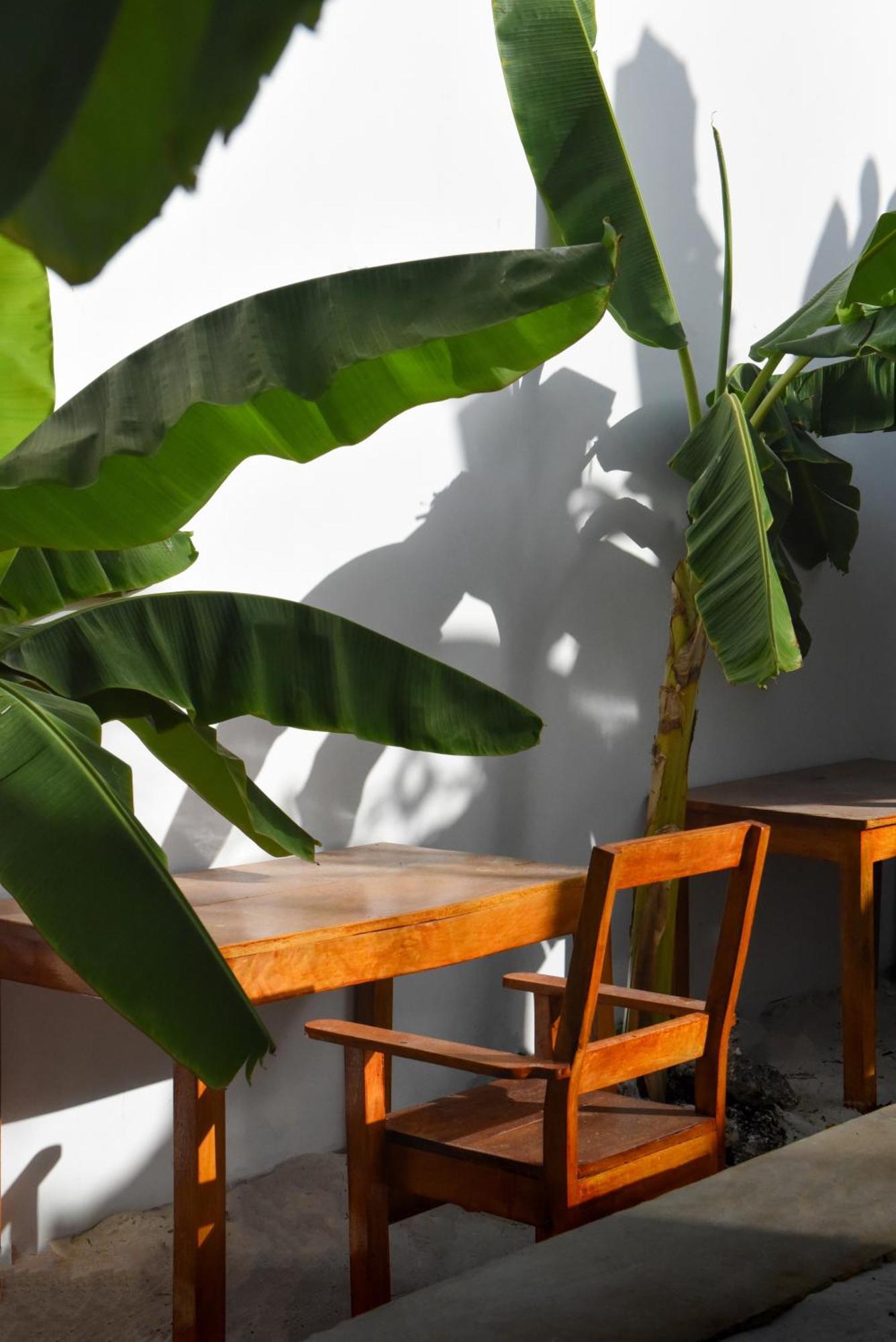 Bed & Breakfast Dar Mar & Coworking *