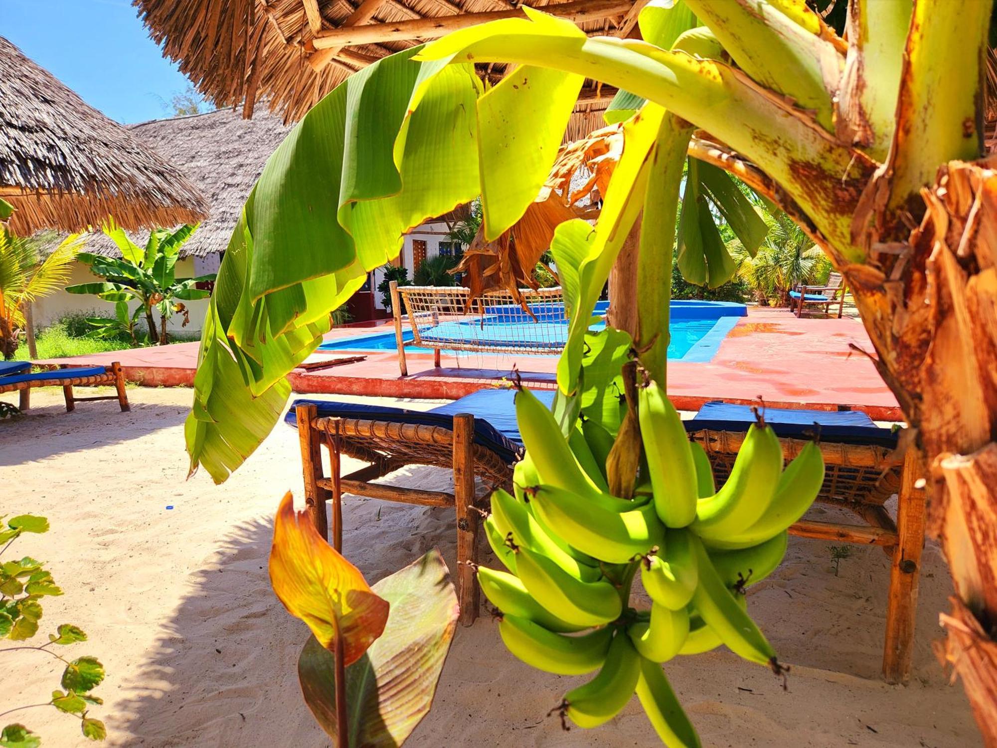 Mkeka Spice Jambiani Lodge *