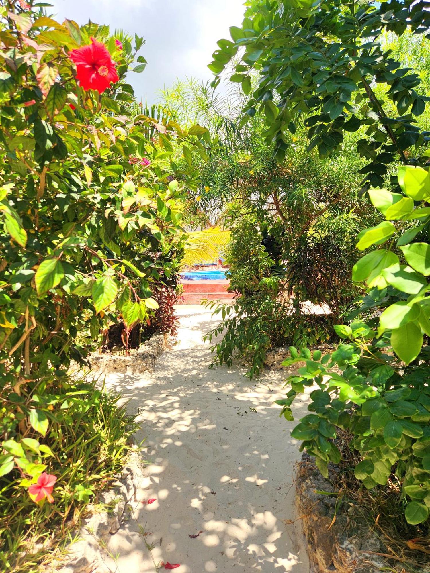 Mkeka Spice Jambiani Jambiani (Zanzibar)
