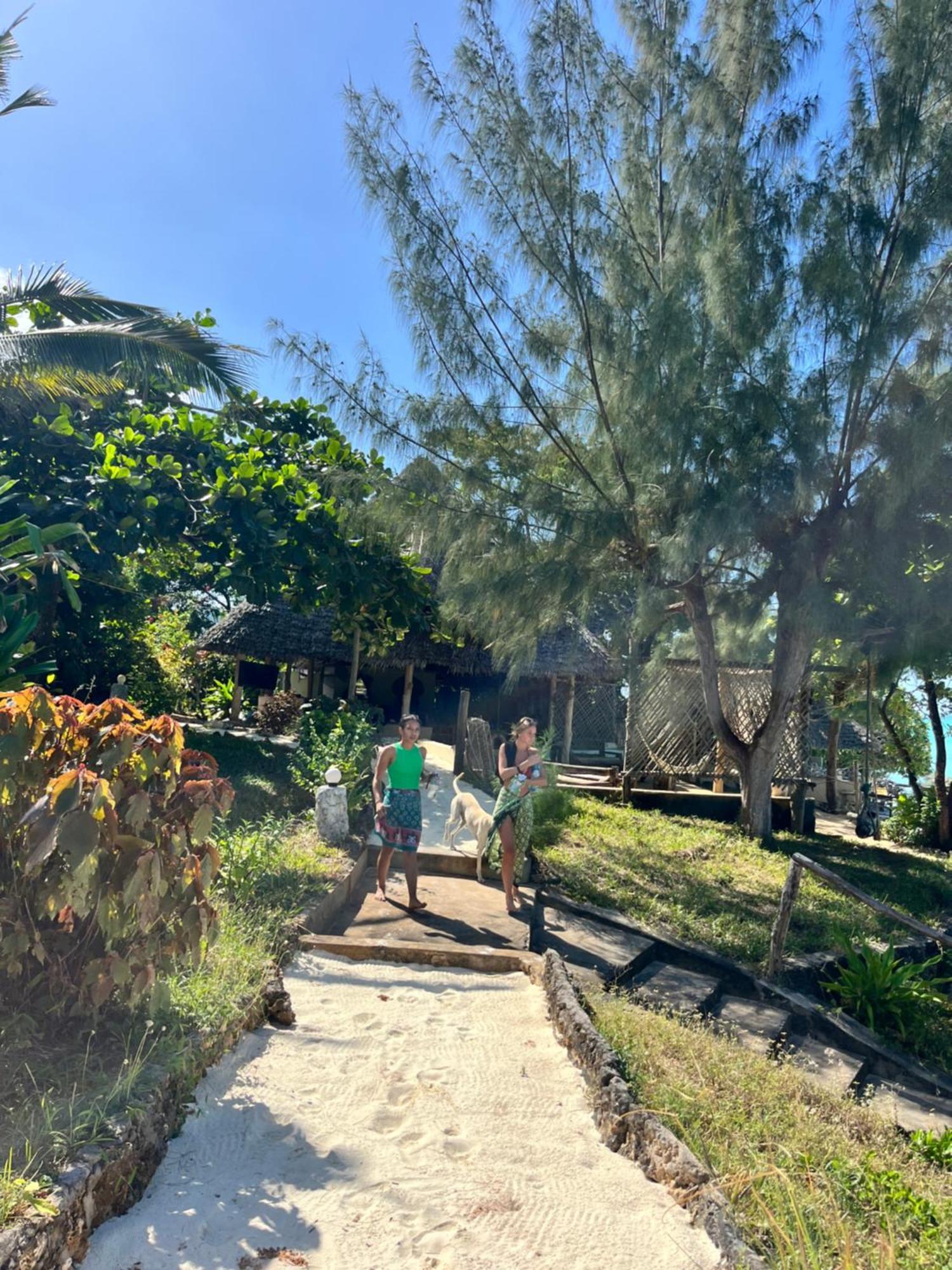 Lodge Sazani And Tidal Lounge Nungwi