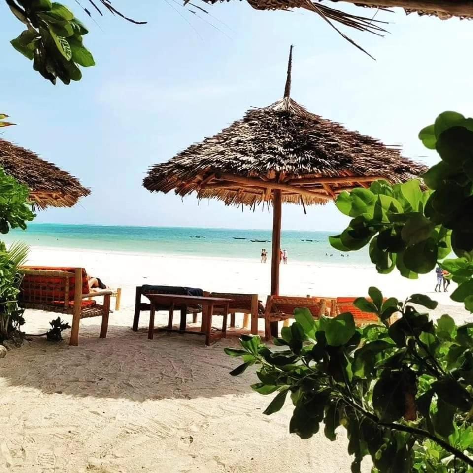 Sipano Kiwengwa Kiwengwa (Zanzibar)