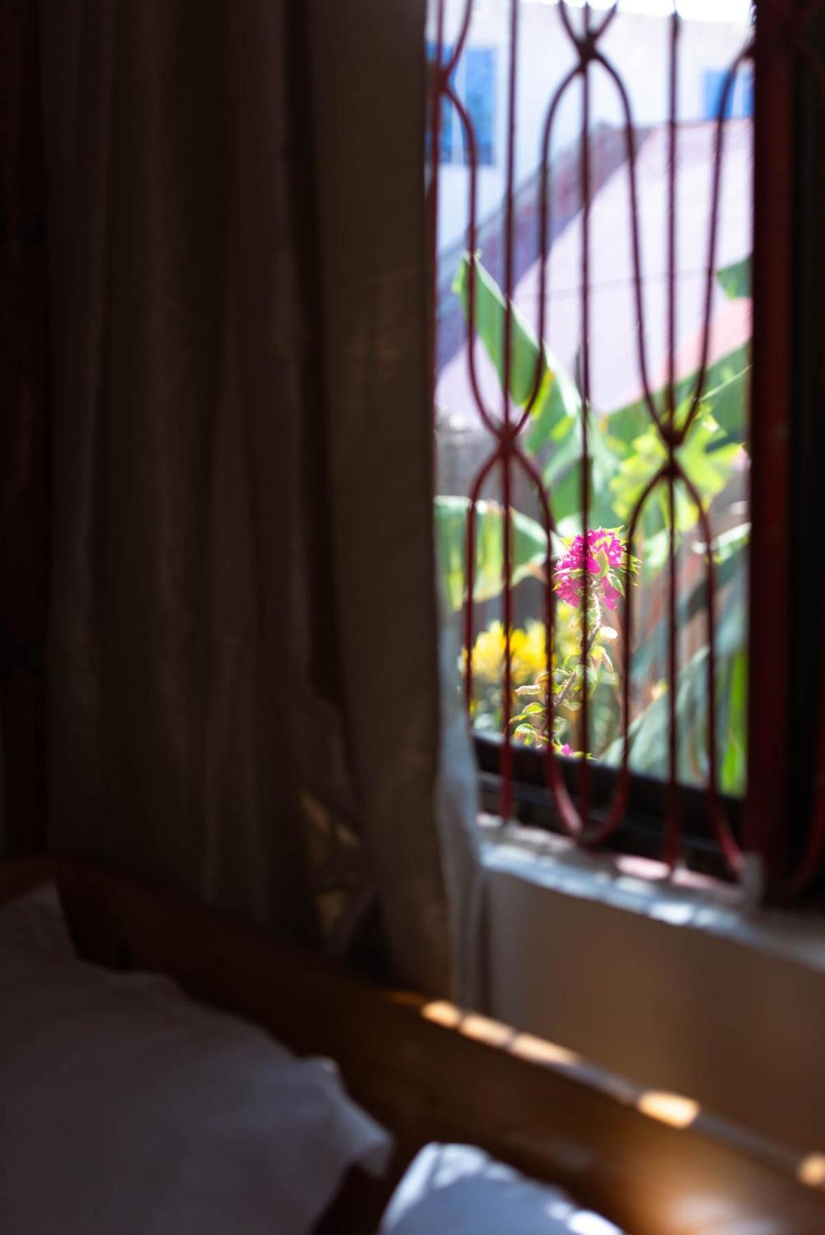 Dar Mar Hostel&coworking Paje