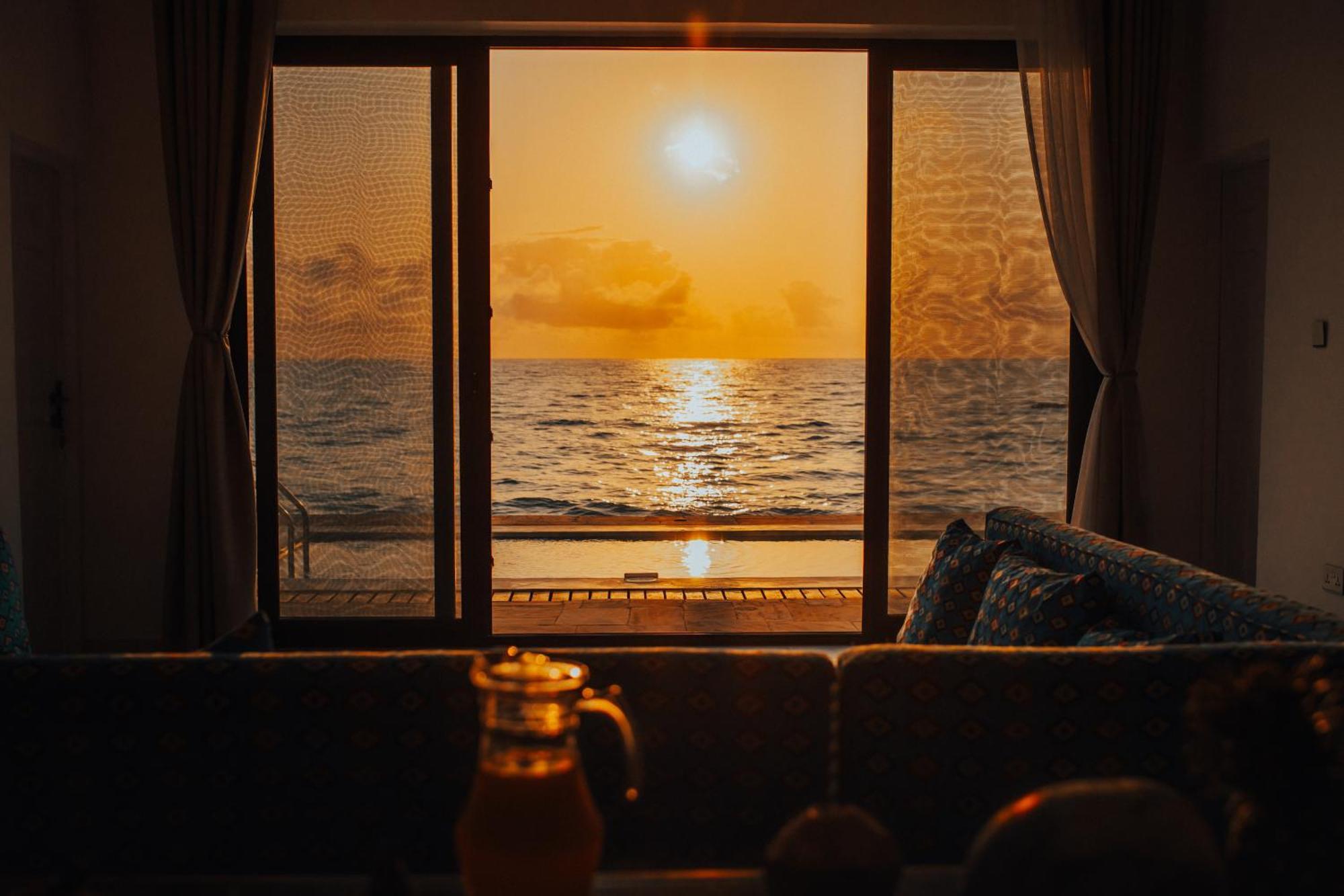 Citrus Zanzibar *