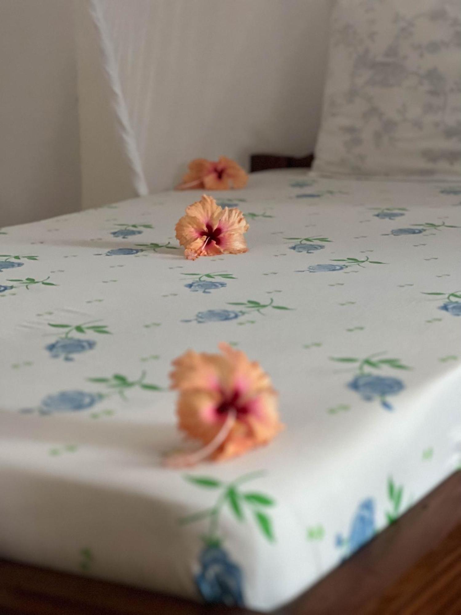 Mauwa House Guest house