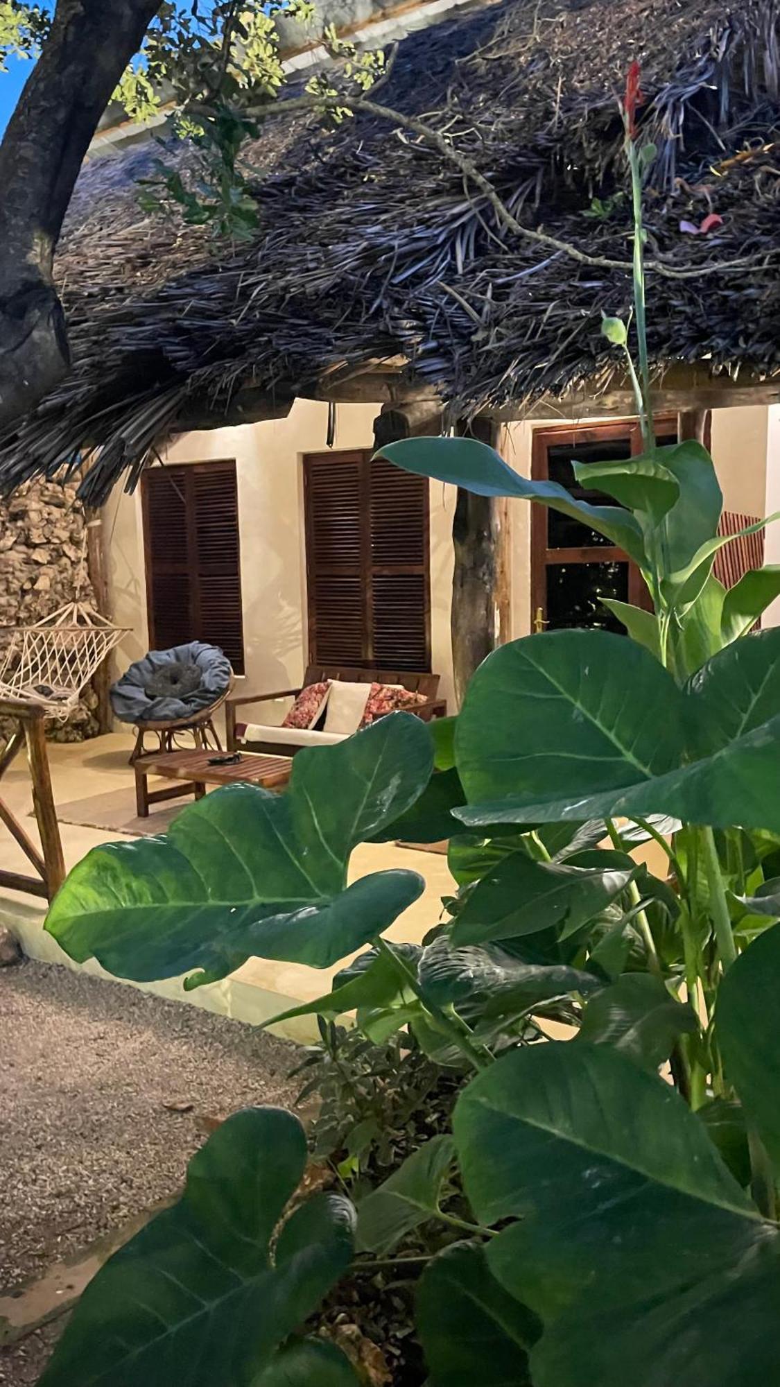 Atii Garden 2*