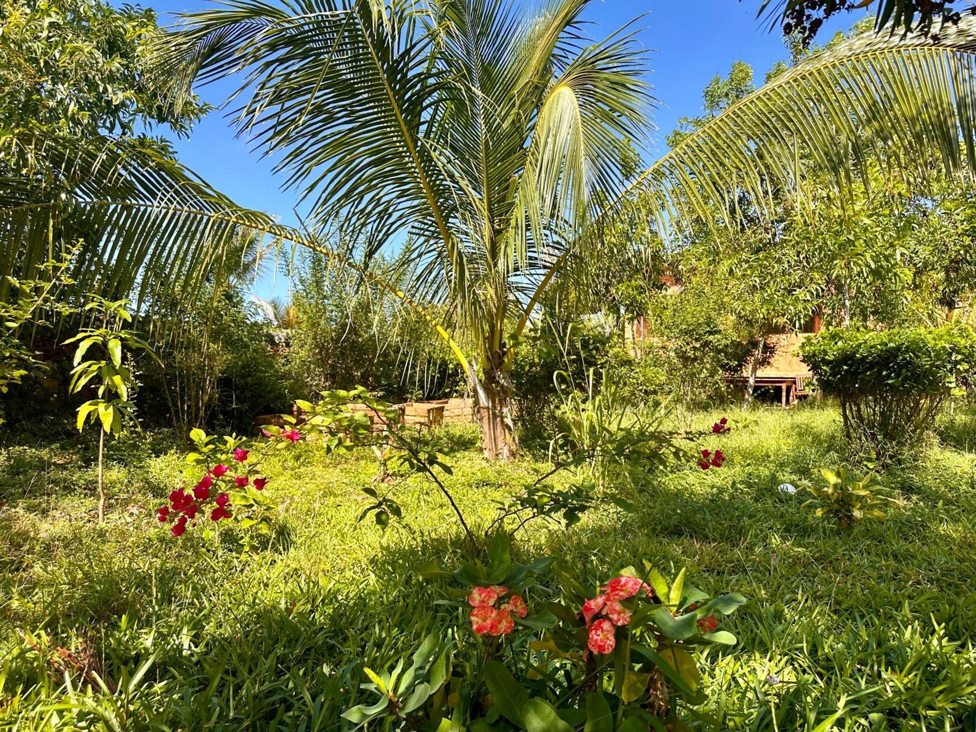 Hotel Kameleon Blue Kizimkazi