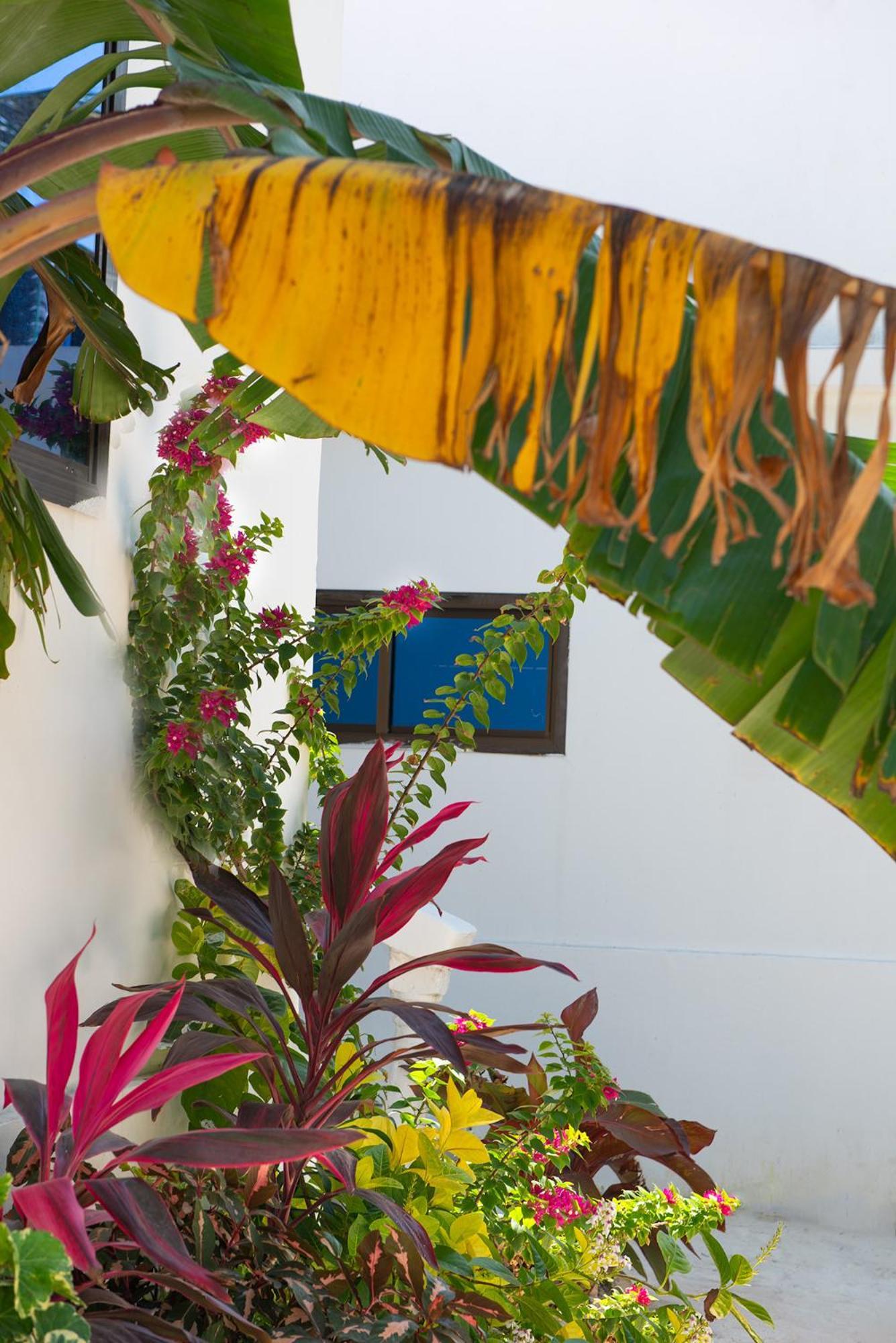 Dar Mar Hostel&coworking Frühstückspension Paje