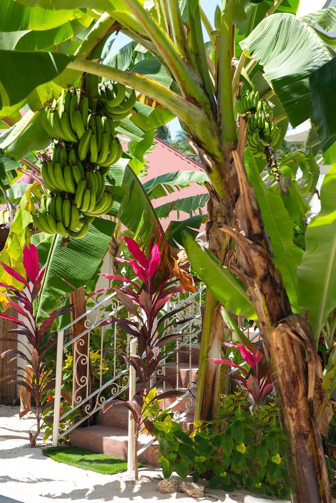 Bed & Breakfast Dar Mar & Coworking
