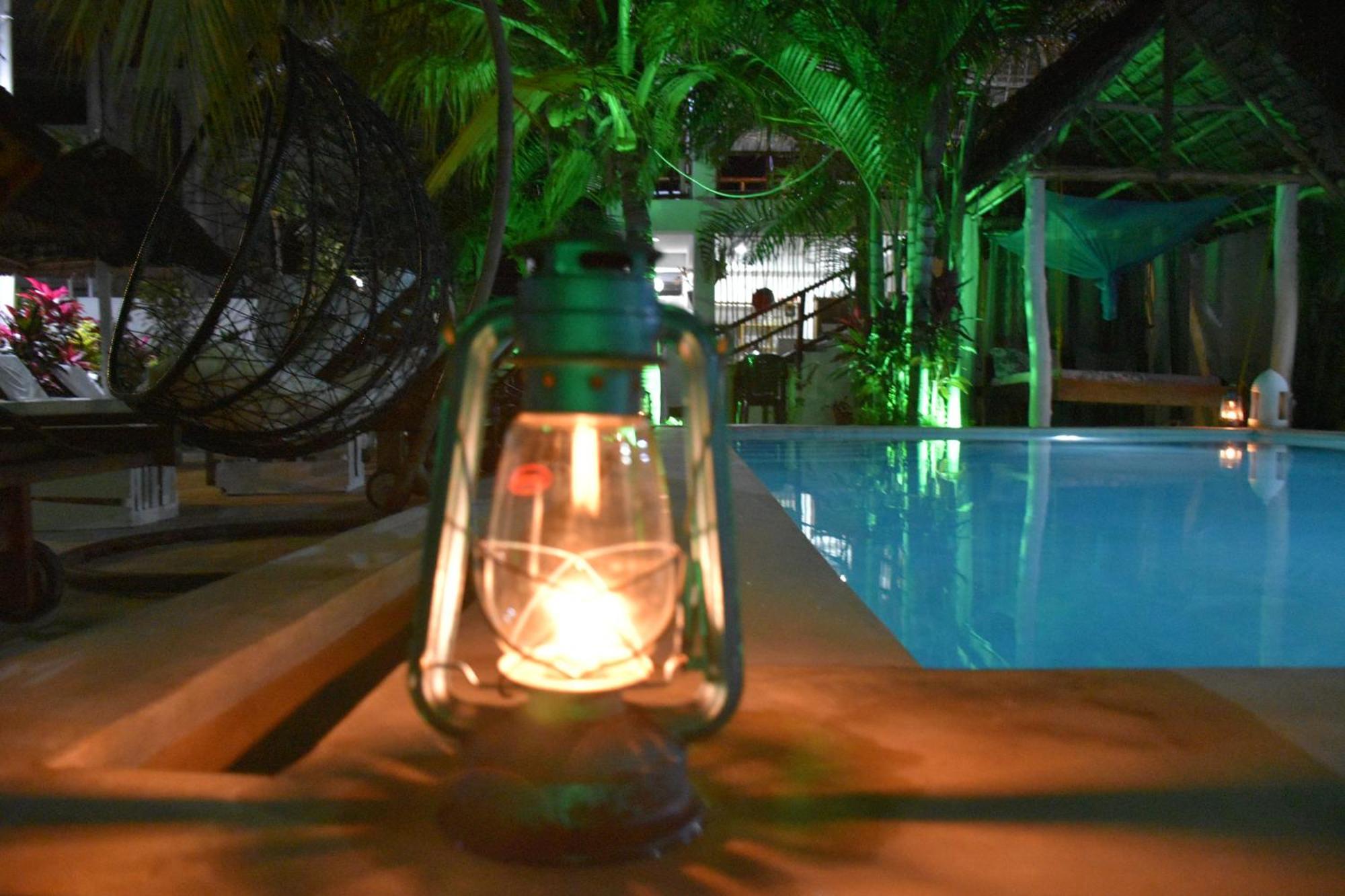 Cezere The Palm Hotel 3*