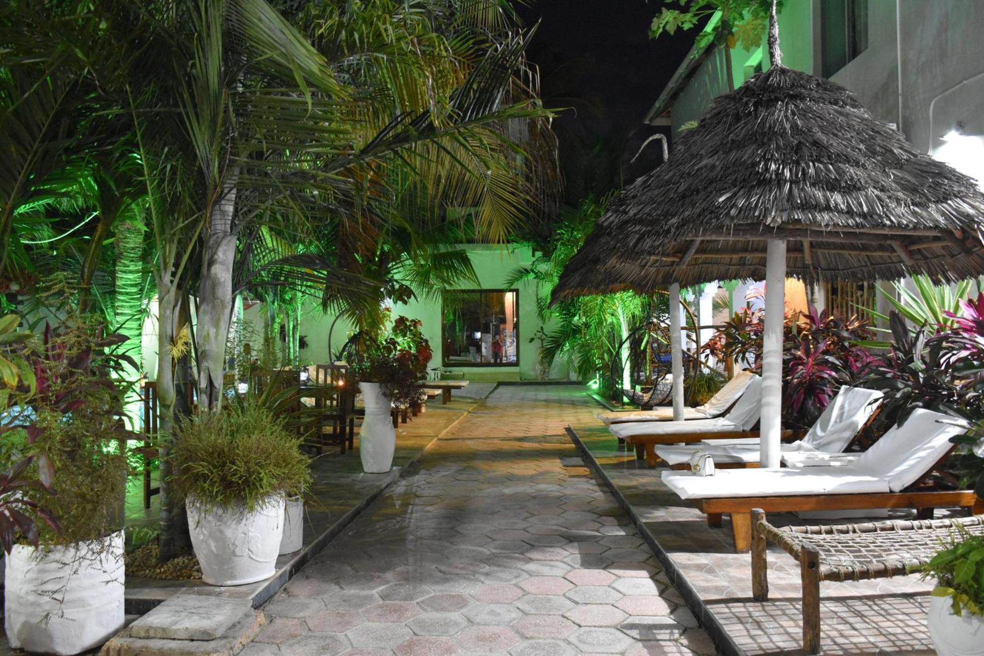 Cezere The Palm Hotel 3*