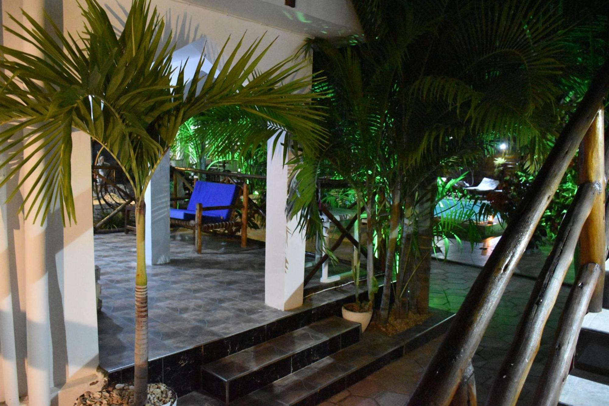 Hotel Cezere The Palm 3*