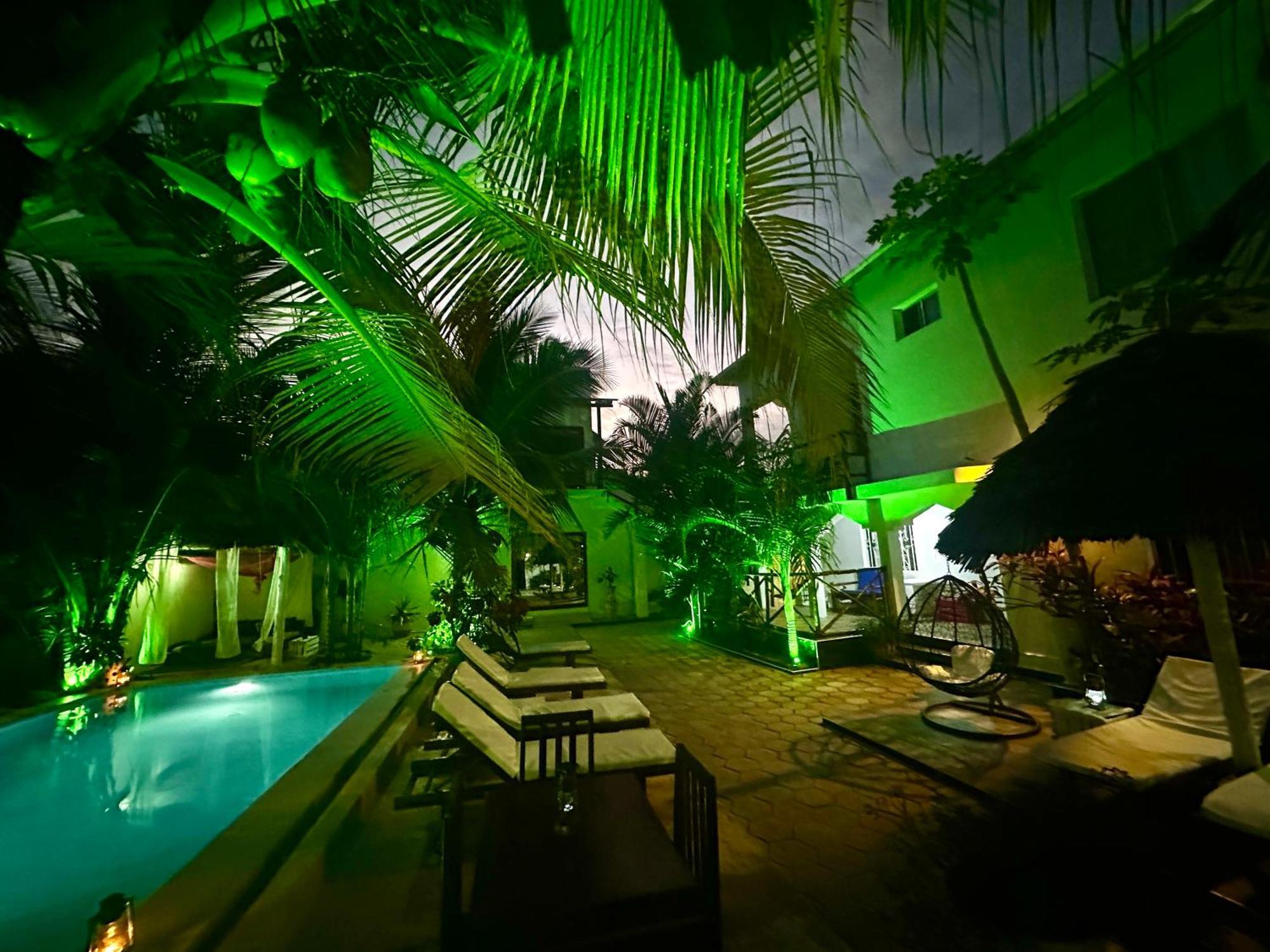 Cezere The Palm Hotel 3*