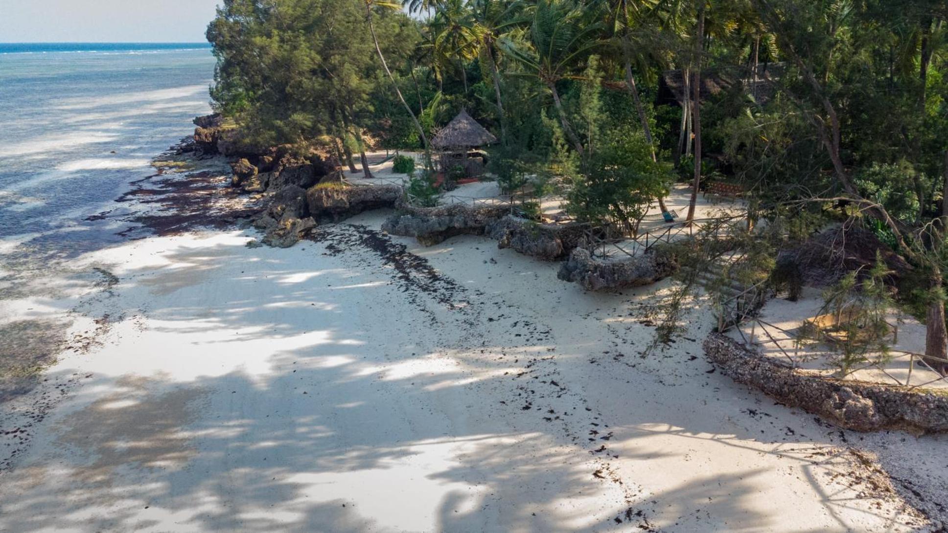Coco Reef