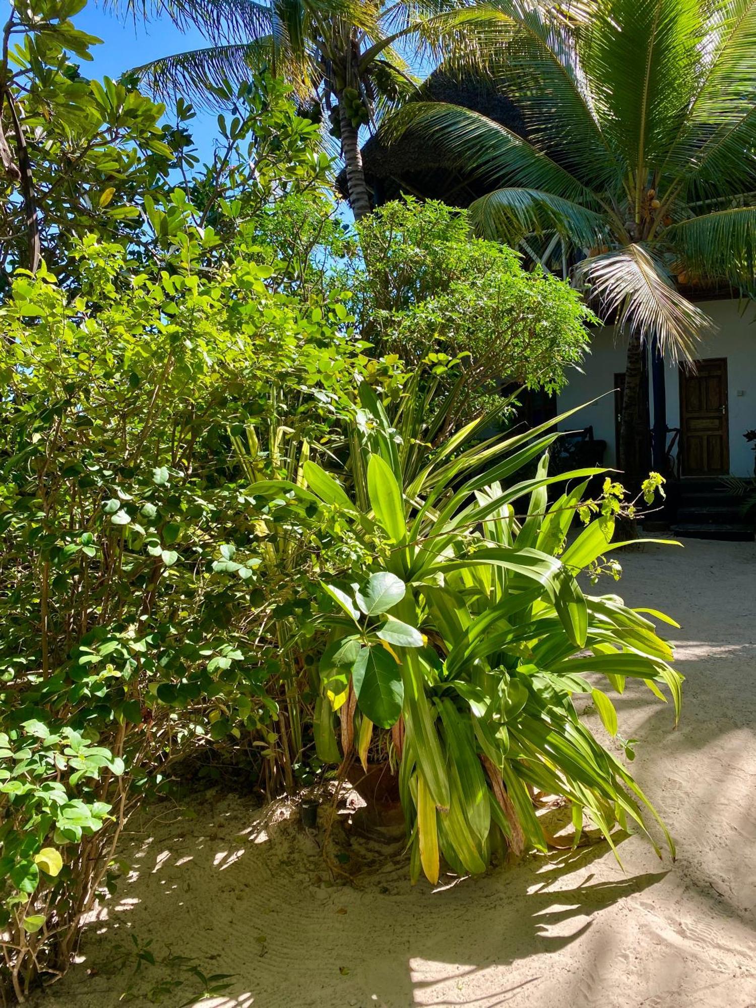 Hotel The Seles Boutique 3*