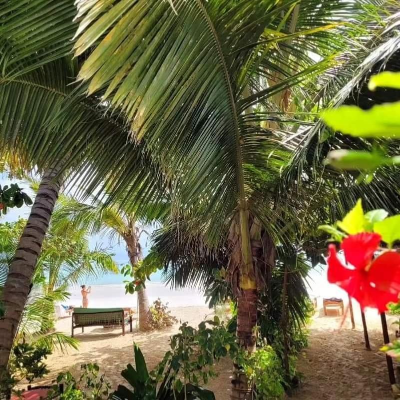 Sipano Kiwengwa * Kiwengwa (Zanzibar)