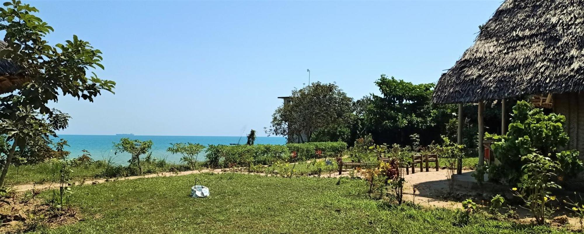 Jabar Zanzibar