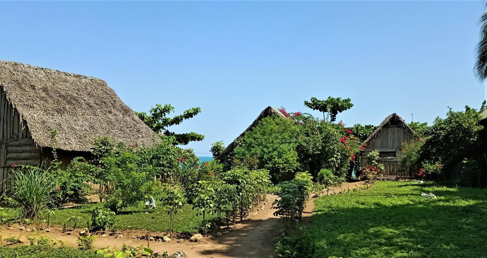 Jabar Zanzibar