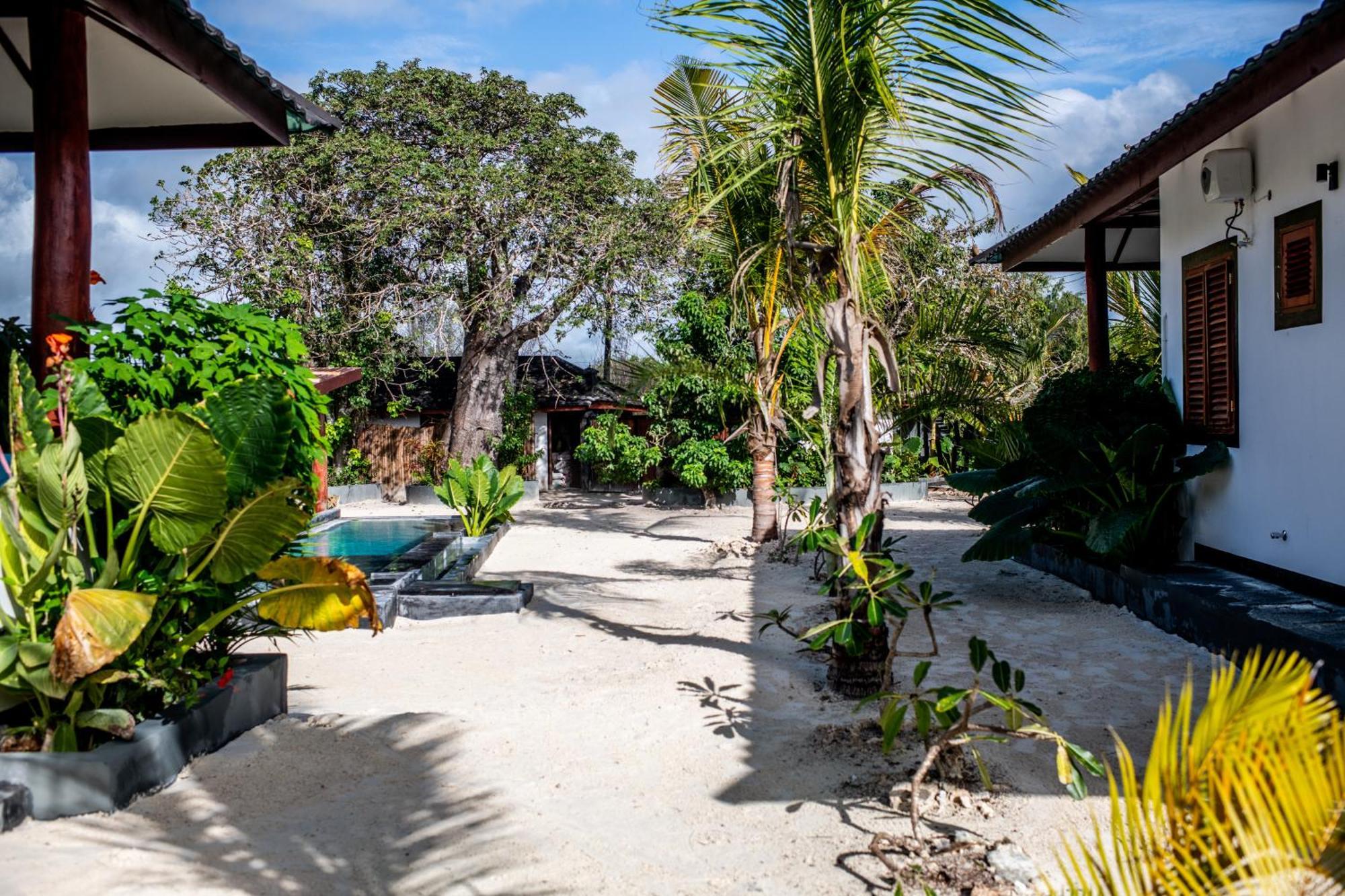 Apartment Baobab Jambiani (Zanzibar)