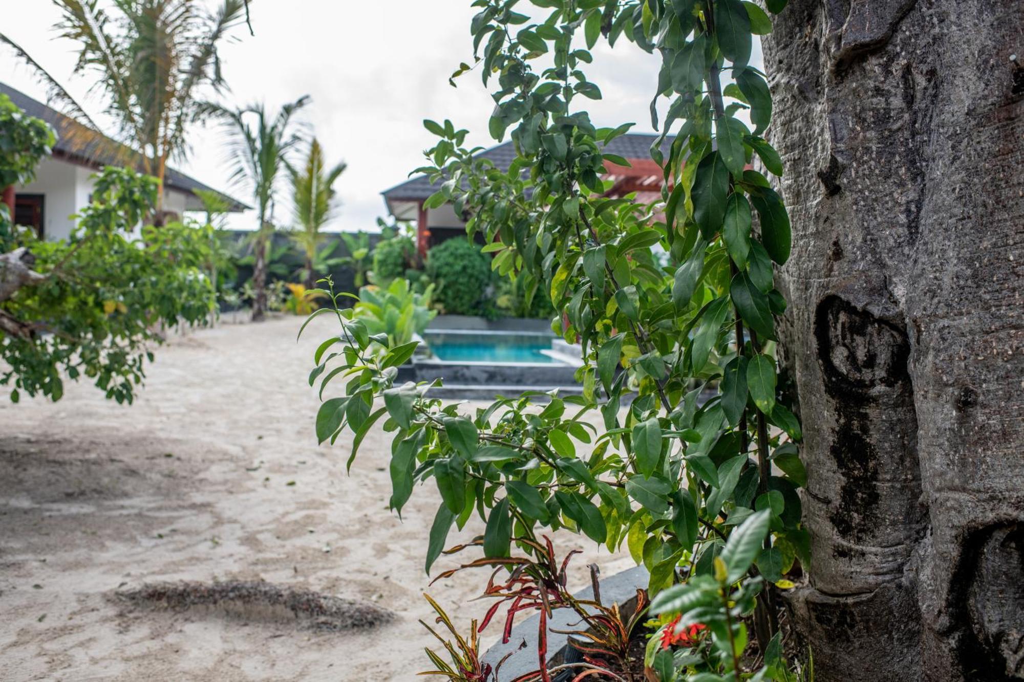 Apartment Baobab Jambiani (Zanzibar)