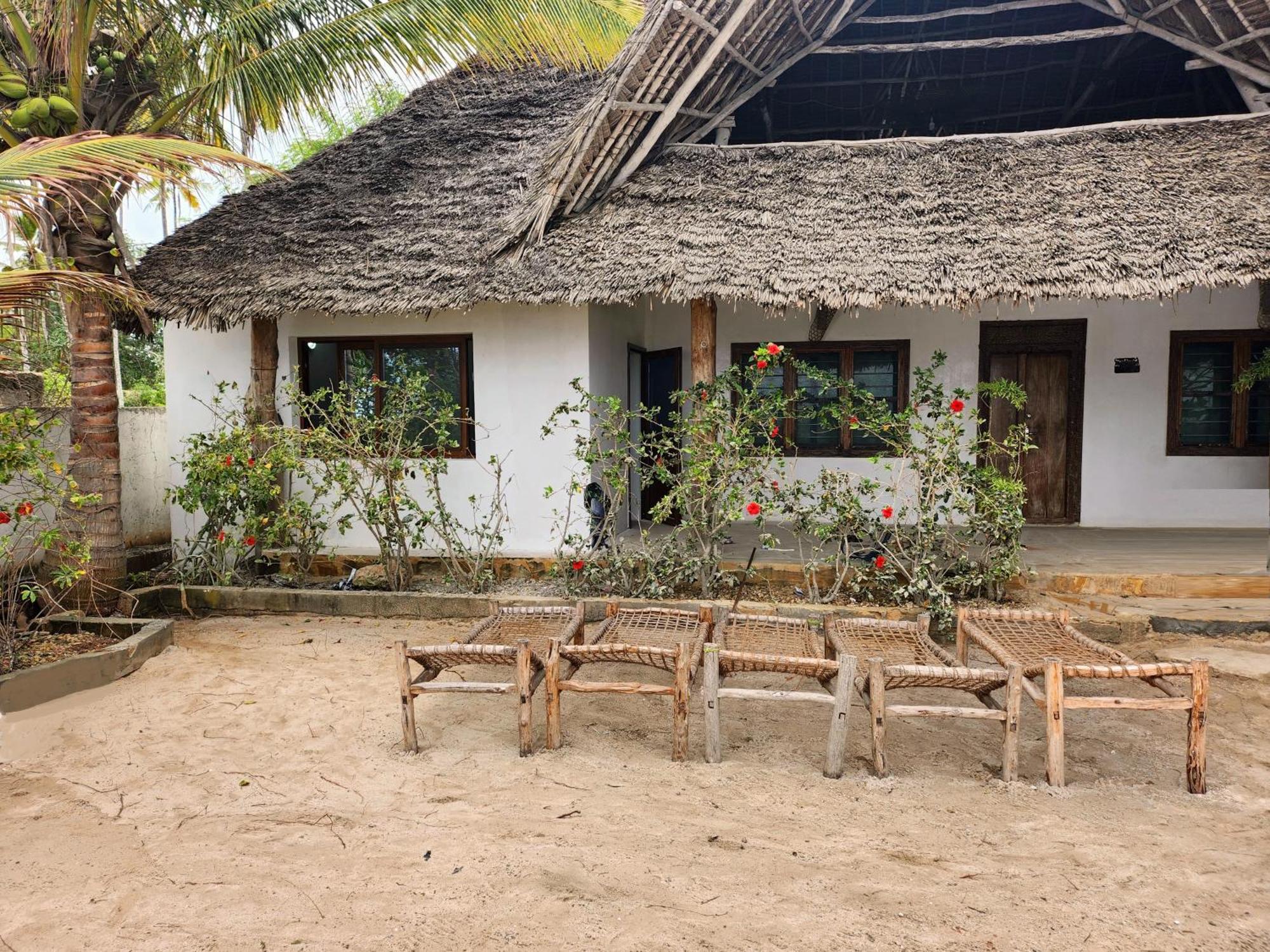 Noah Zanzibar
