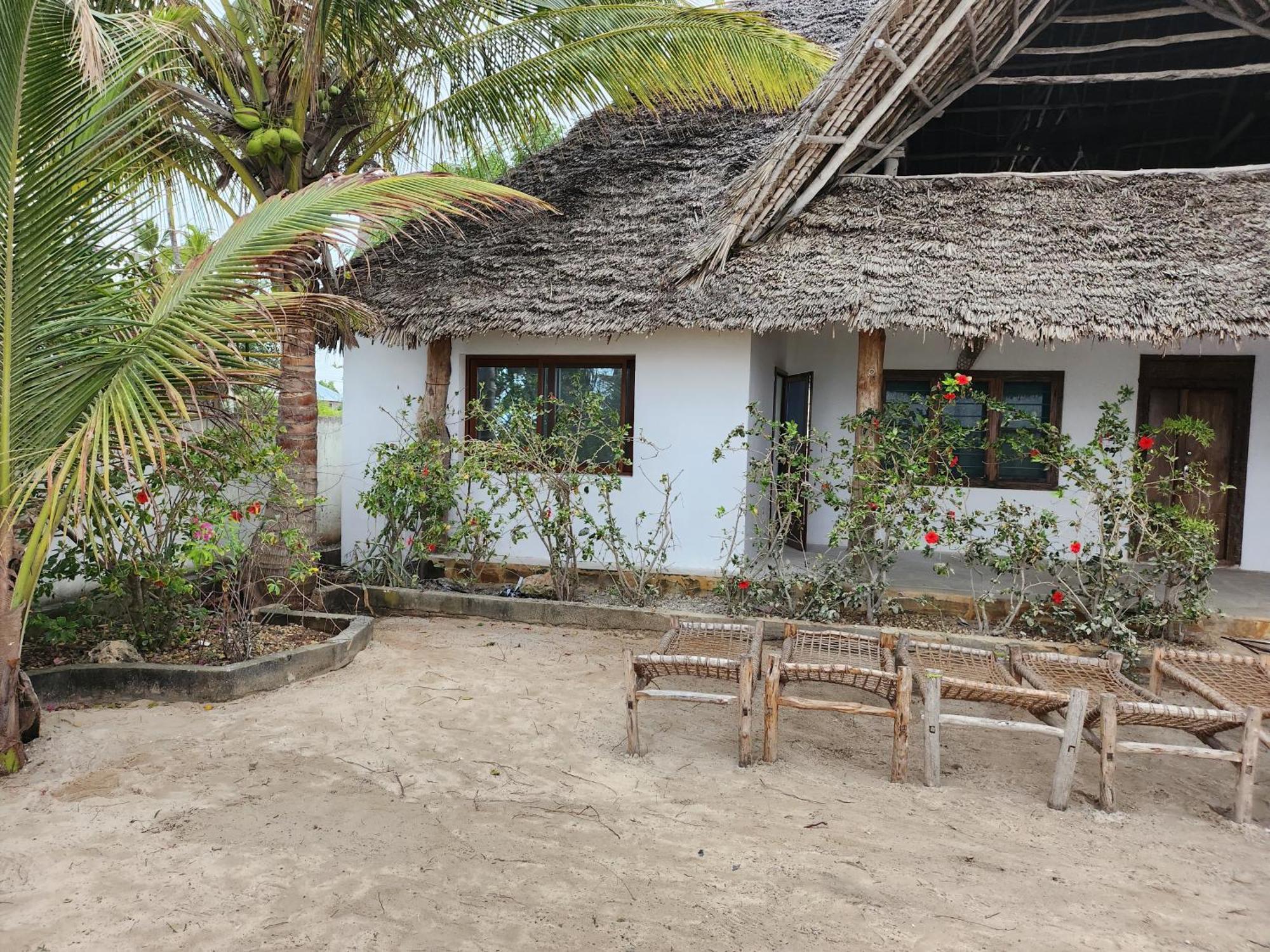 Noah Zanzibar