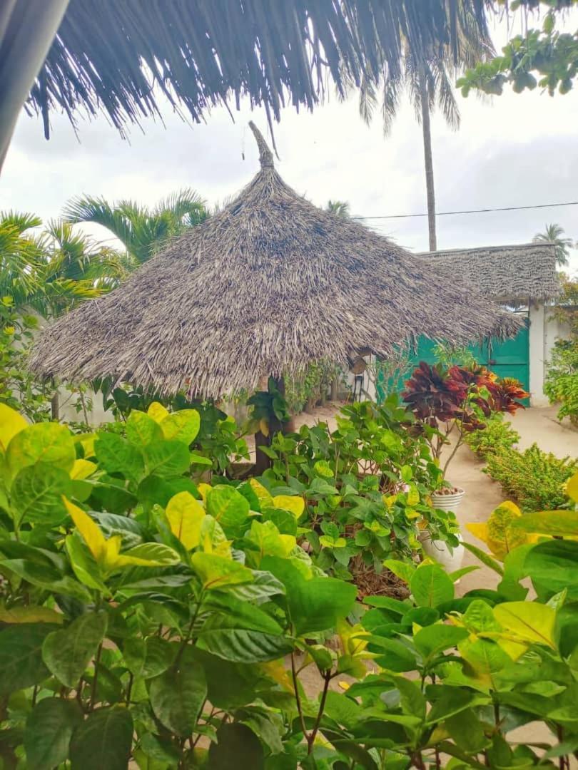 Casa Carlotta & Villa *