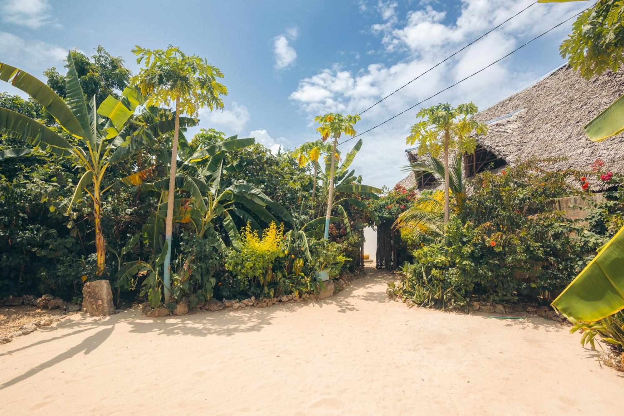 Bukoba Villas - Lily - Private Pool, Ac & Wi-fi Nungwi