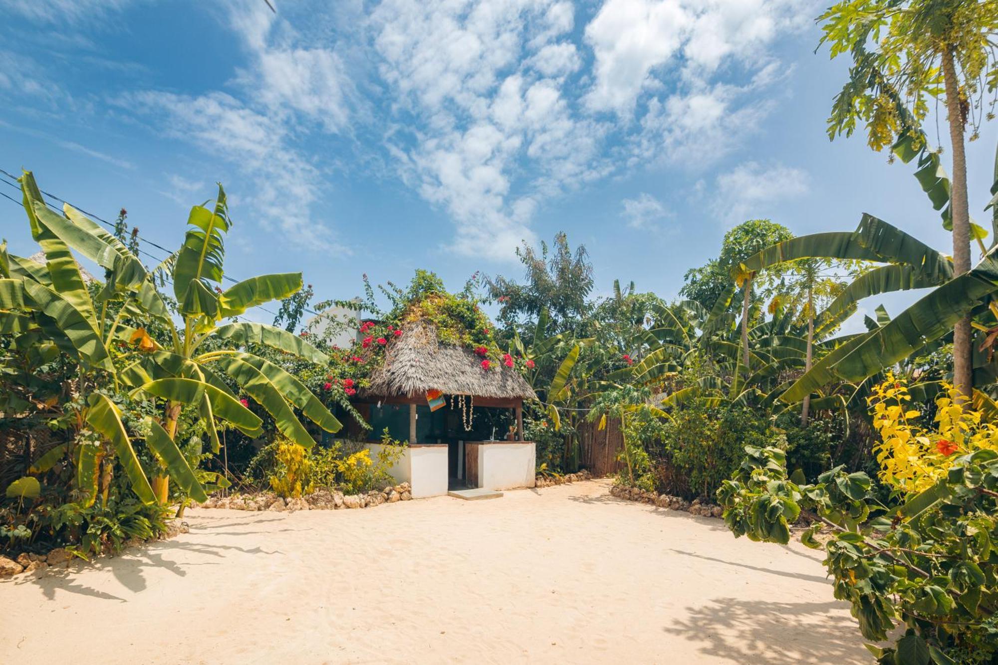 Bukoba Villas - Lily - Private Pool, Ac & Wi-fi Apartment