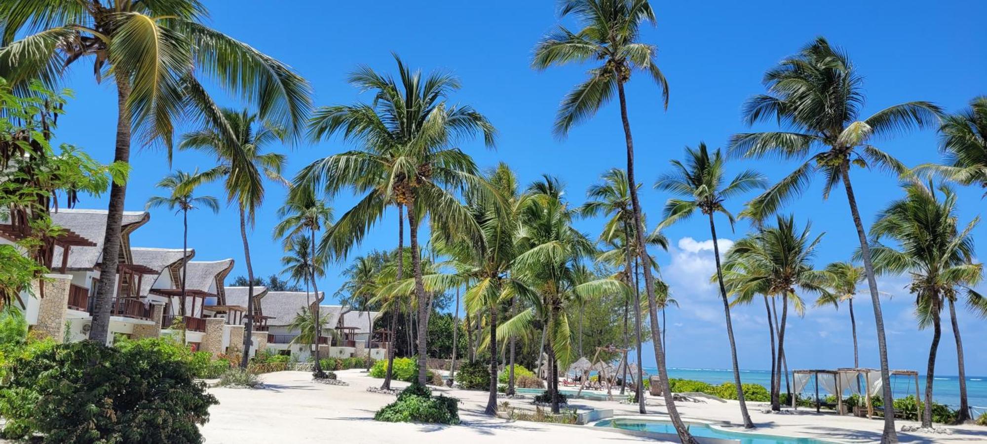 Ocean View With Pool, Zanzibar Villa Pingwe
