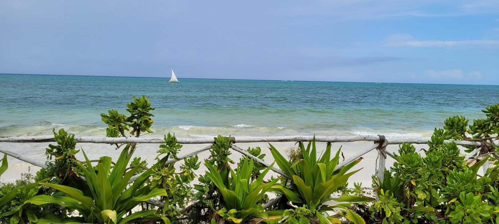 Ocean View With Pool, Zanzibar Pingwe