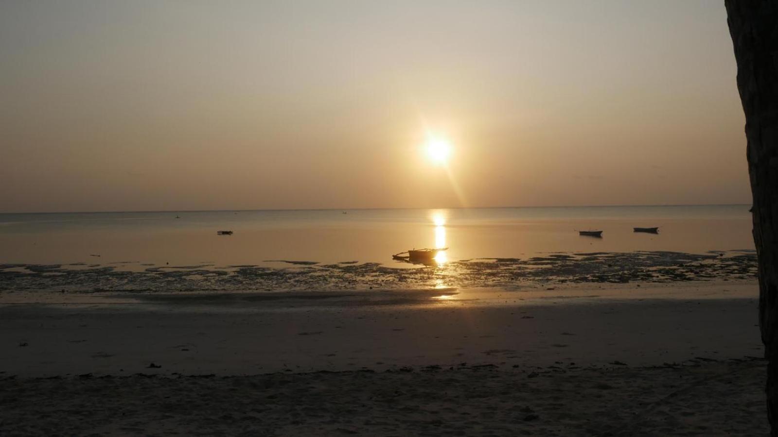 Villa Noah Zanzibar Kiwengwa (Zanzibar)