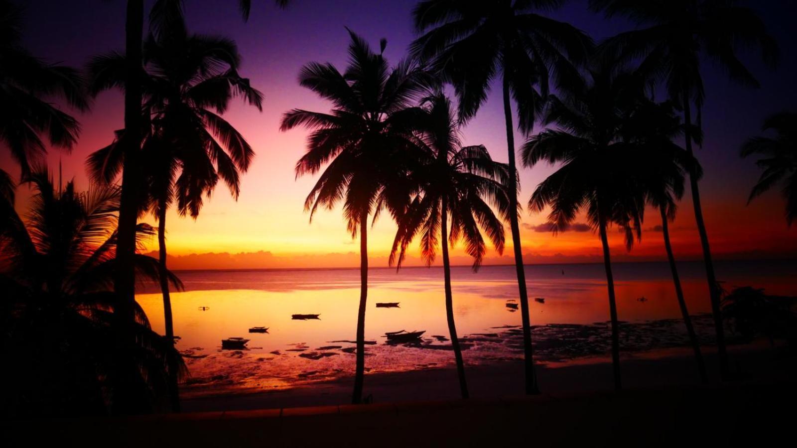 Noah Zanzibar * Kiwengwa (Zanzibar)