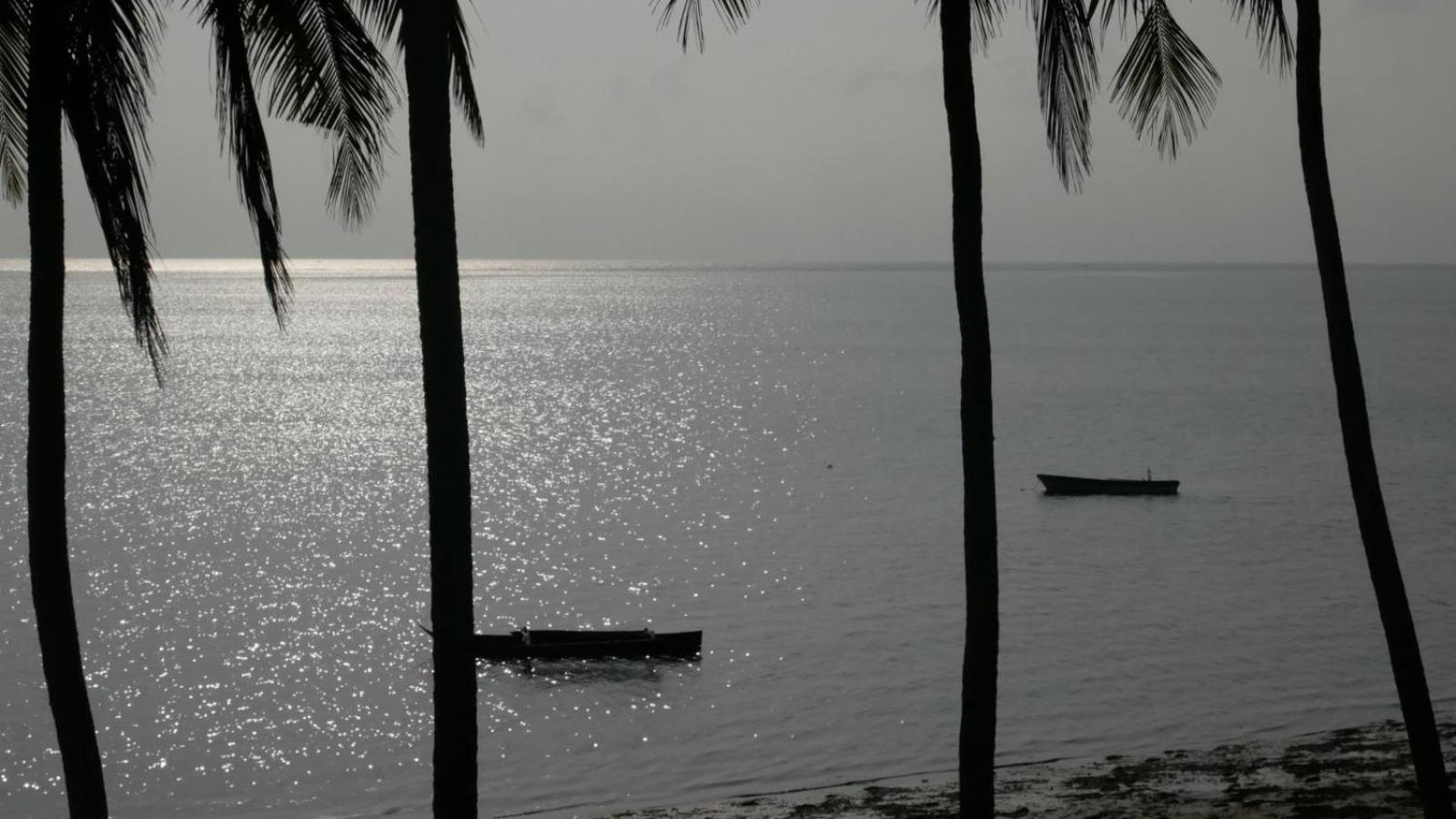 Noah Zanzibar