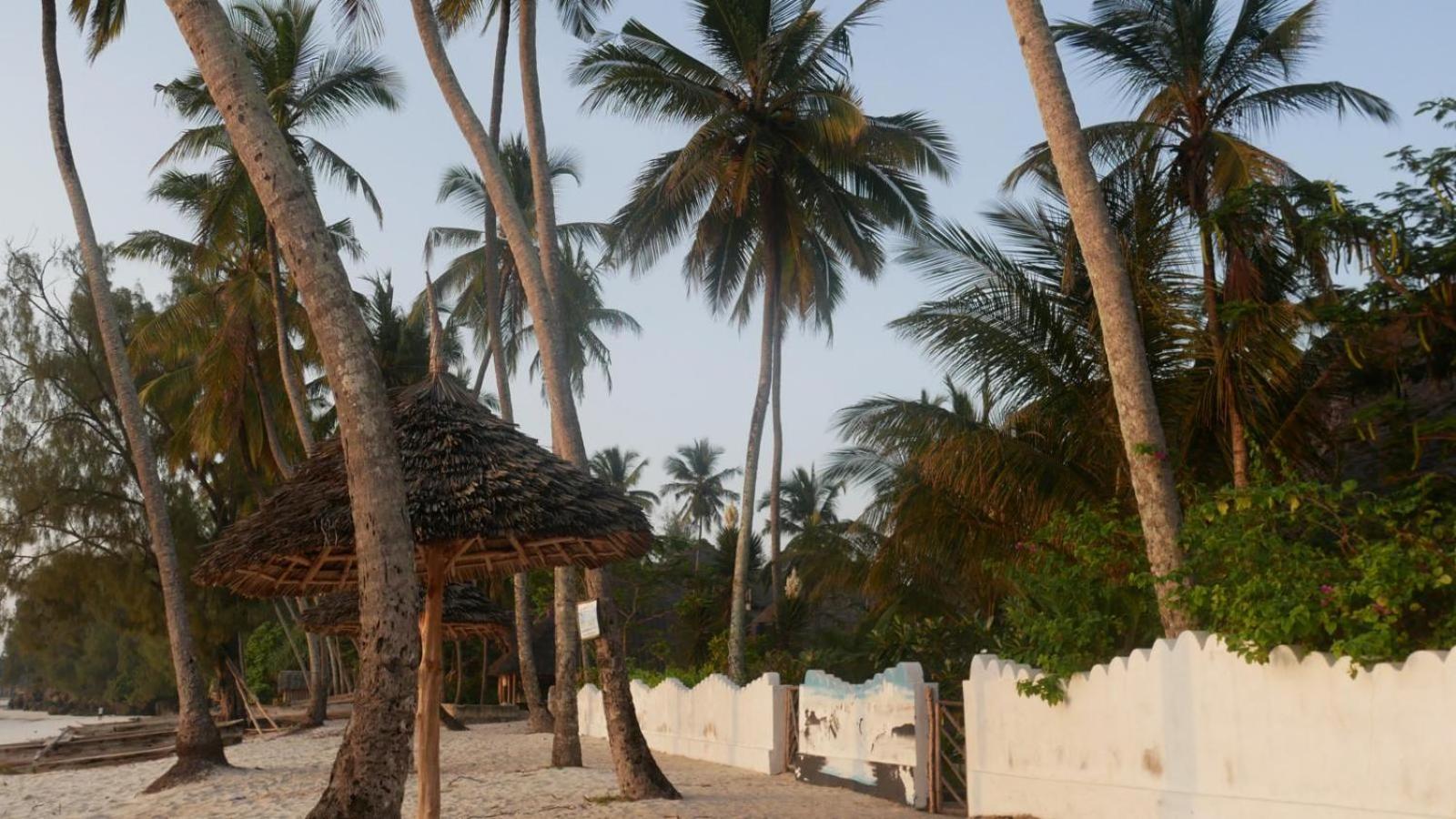 Noah Zanzibar
