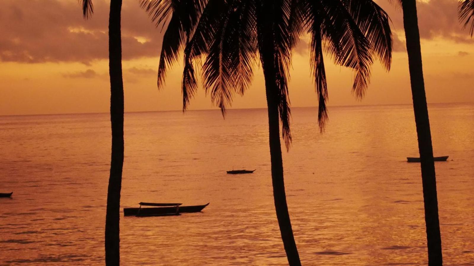 Villa Noah Zanzibar Kiwengwa (Zanzibar)
