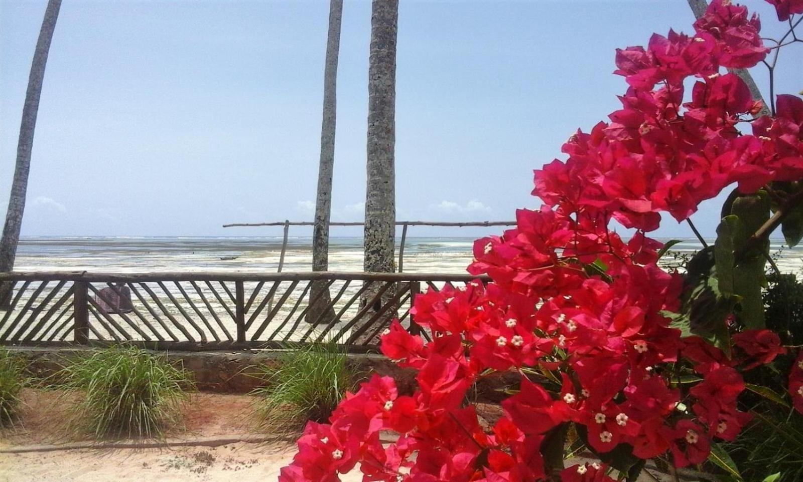Villa Noah Zanzibar Kiwengwa (Zanzibar)