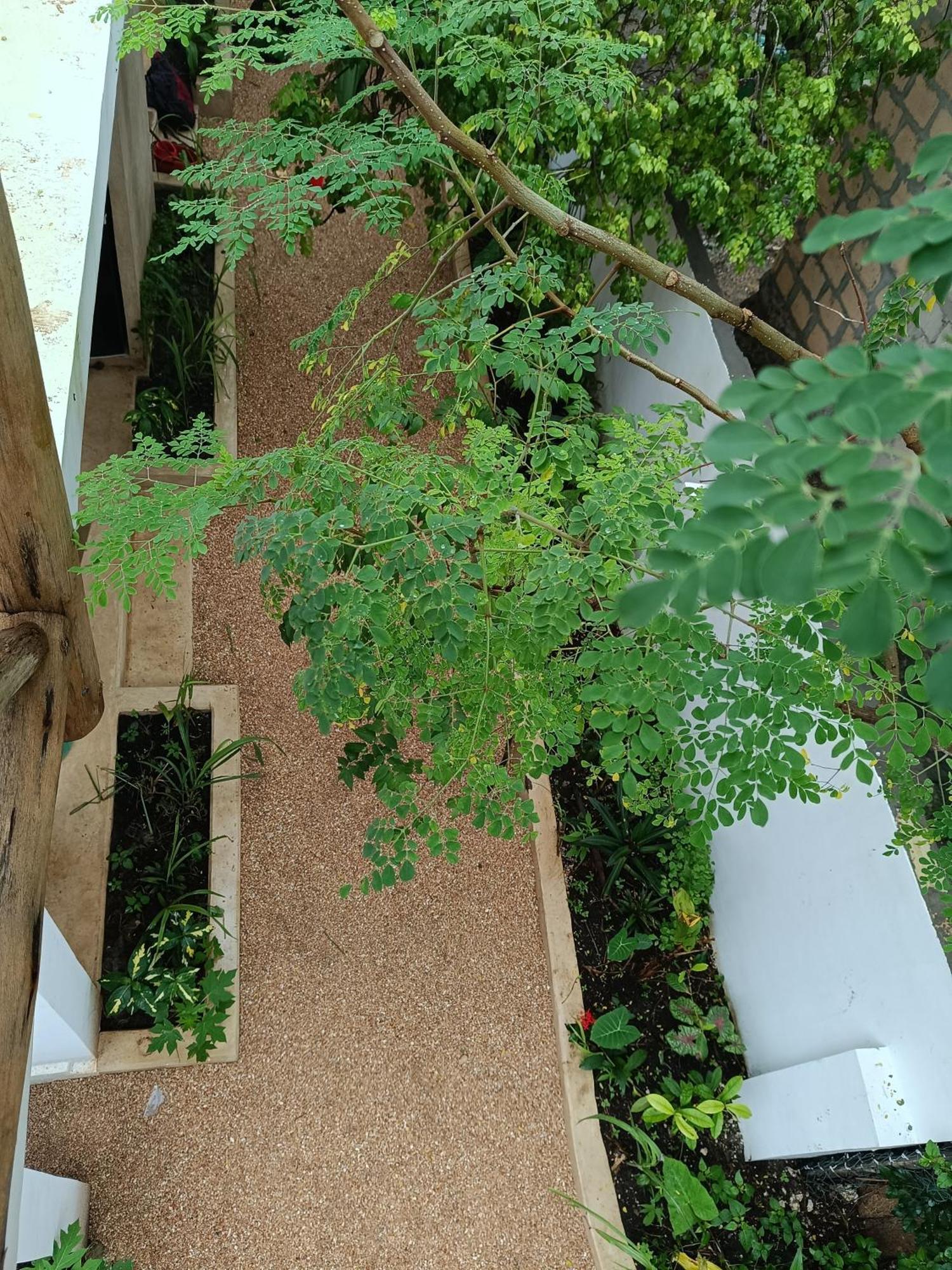 Mgongo Tree House Apartment *