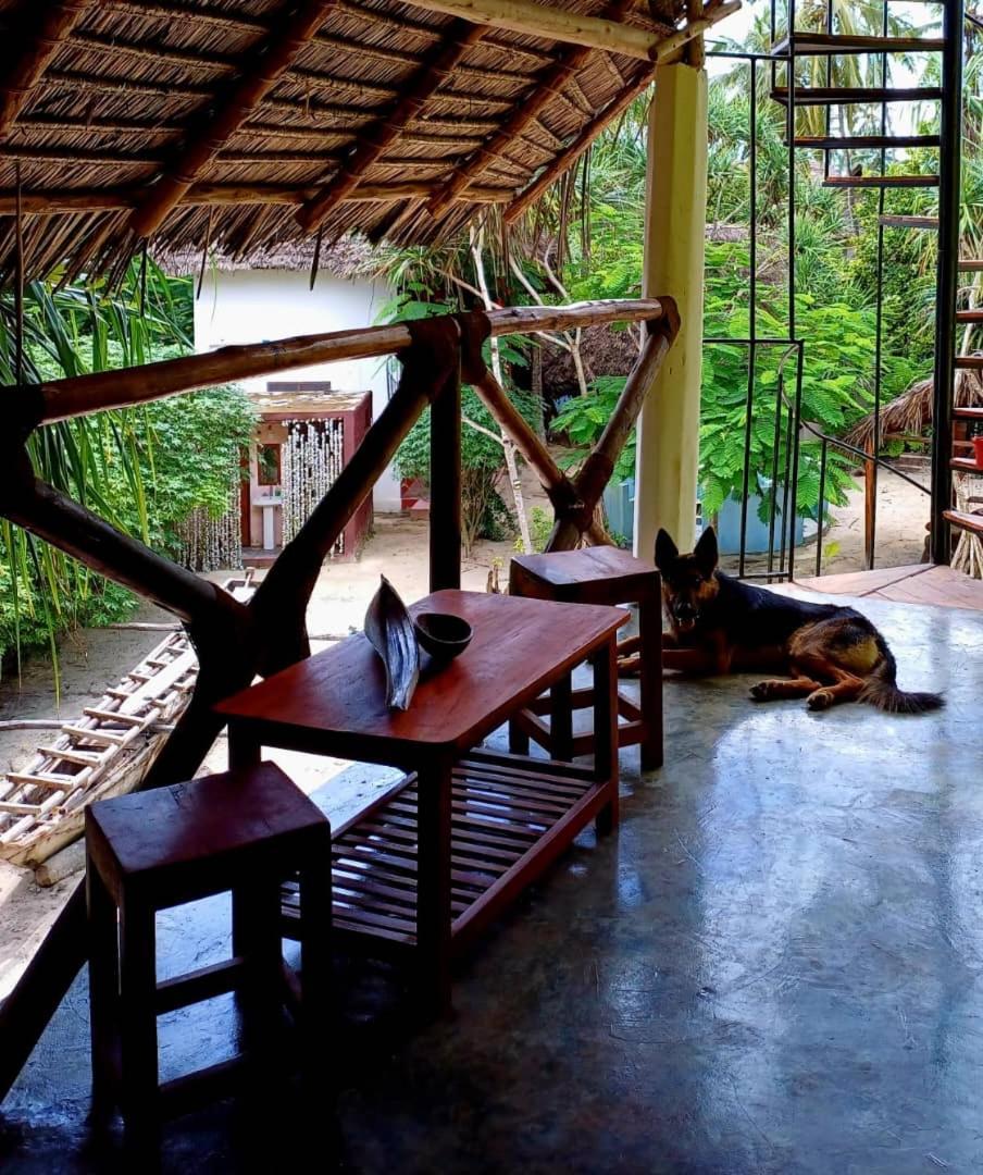 Apartment Karibu Paradaizi Michamvi Kae