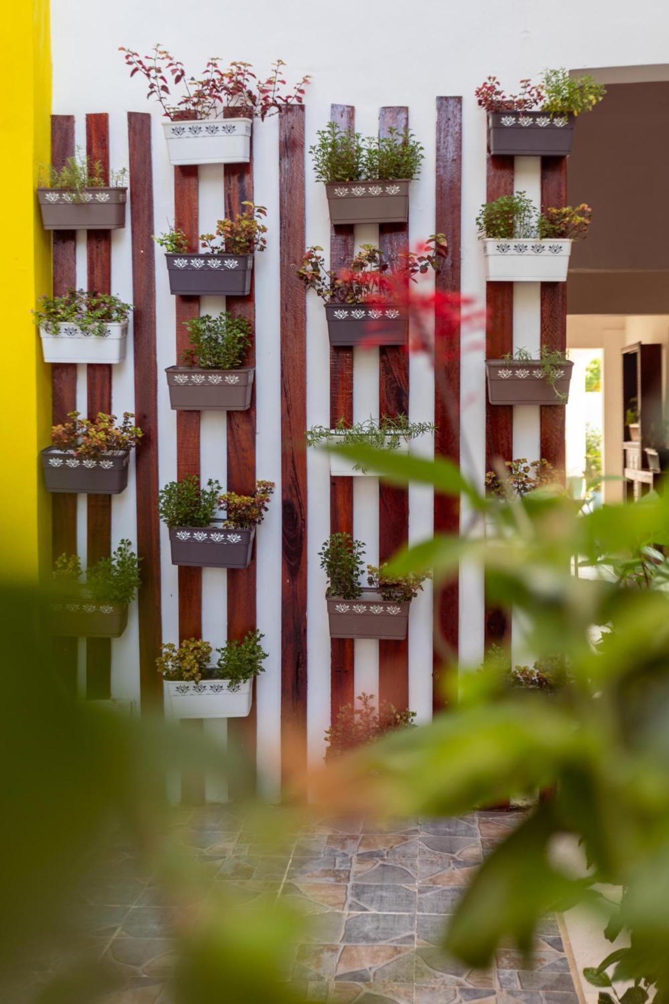 Hotel Canary & Nungwi
