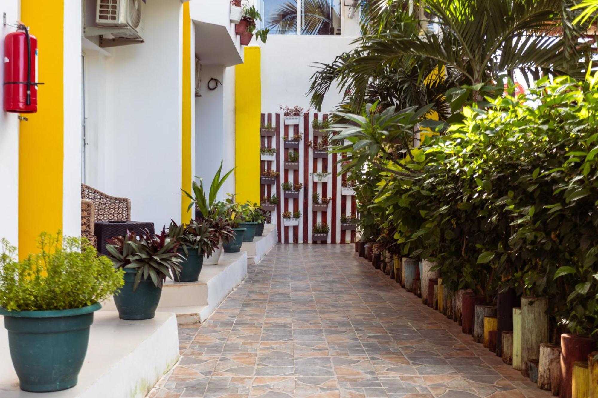 Hotel Canary & 4*