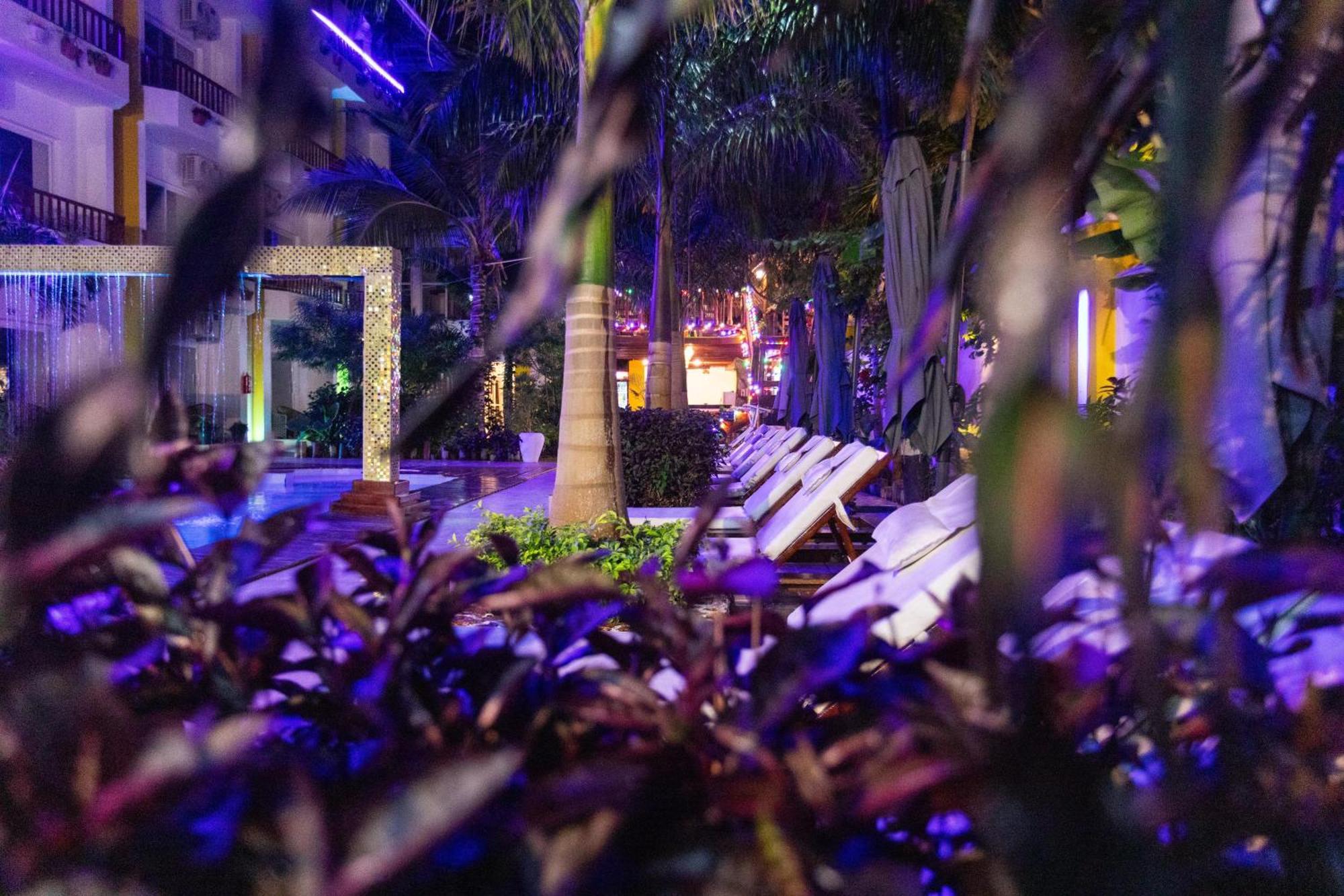 Hotel Canary & 4*